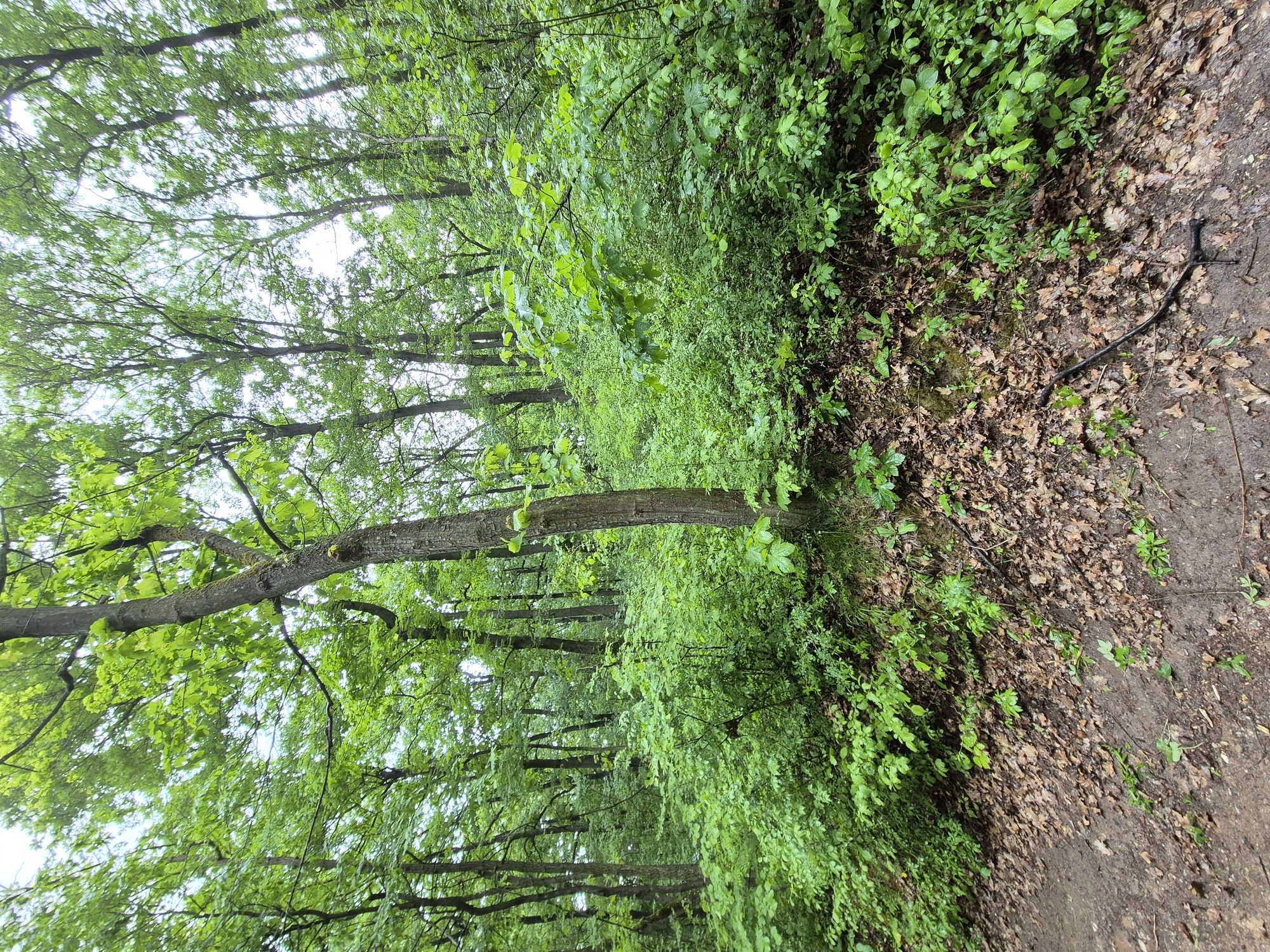 20250518_163952.jpg
