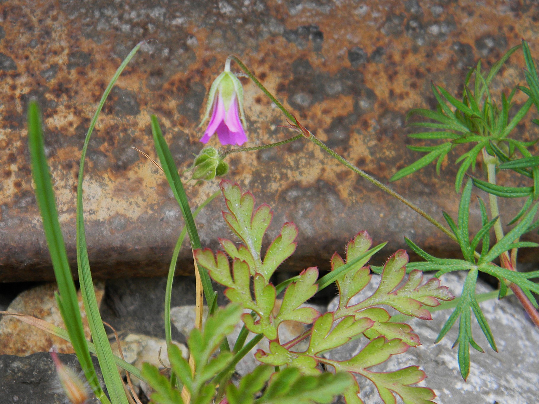 DSCN1210.JPG