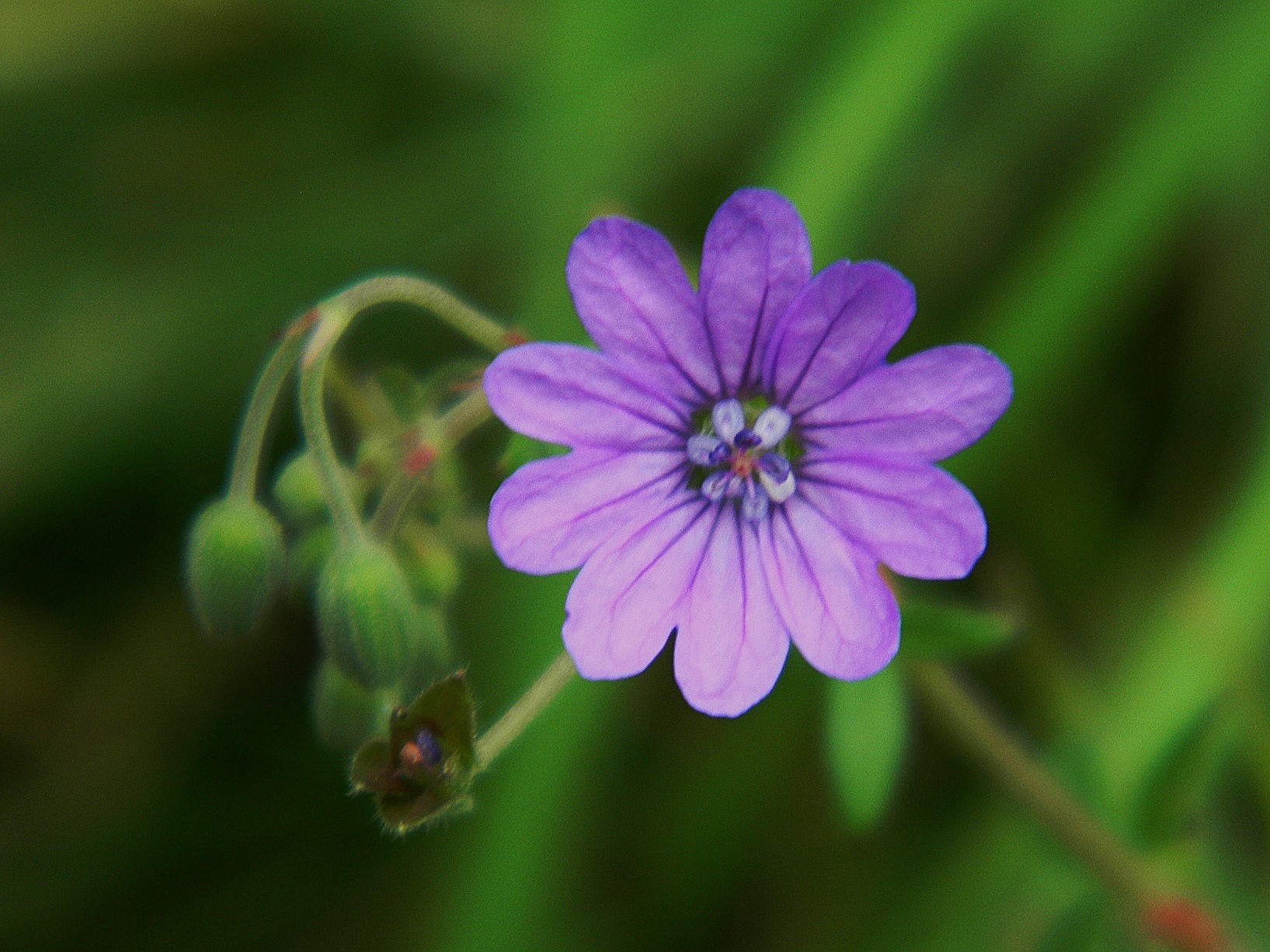 DSCN1215.JPG
