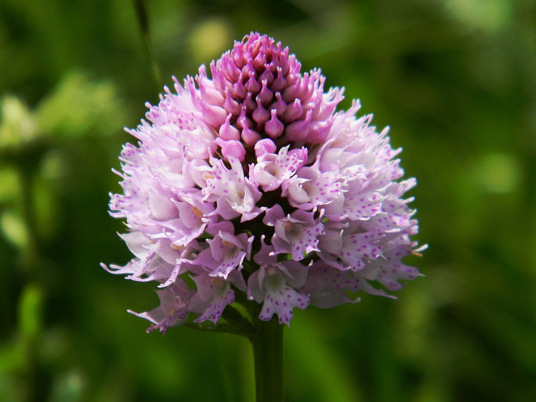 DSCN1240.JPG