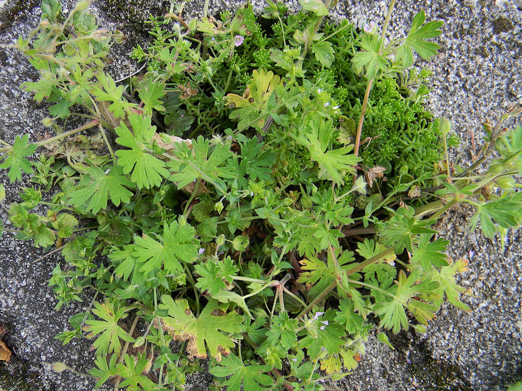 DSCN1256.JPG