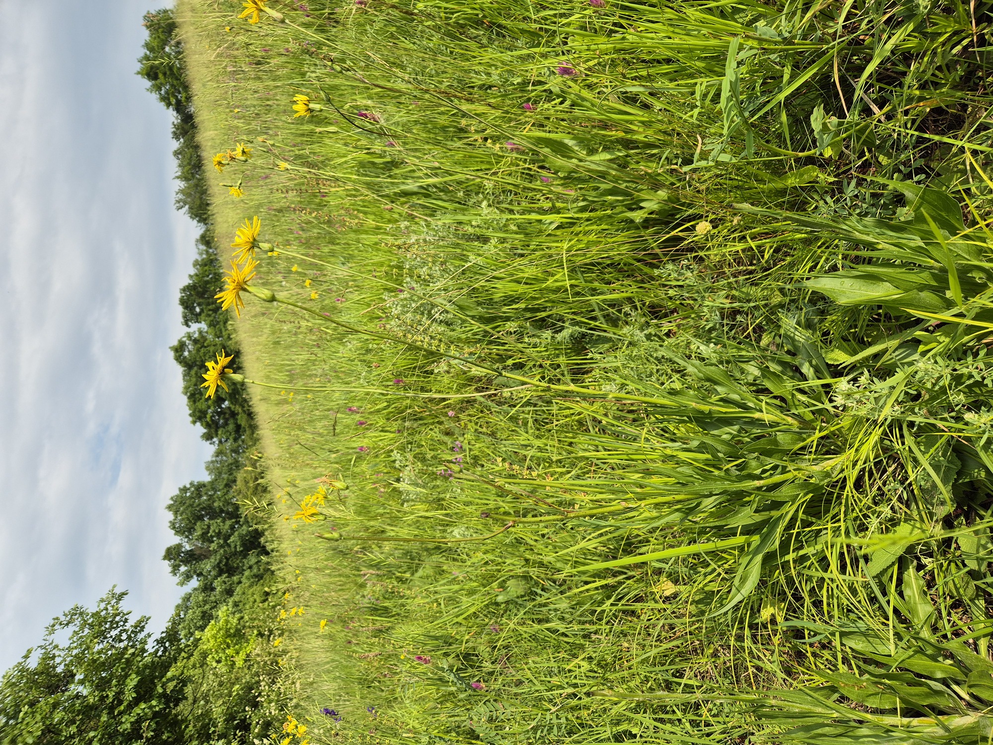 20250608_162853.jpg