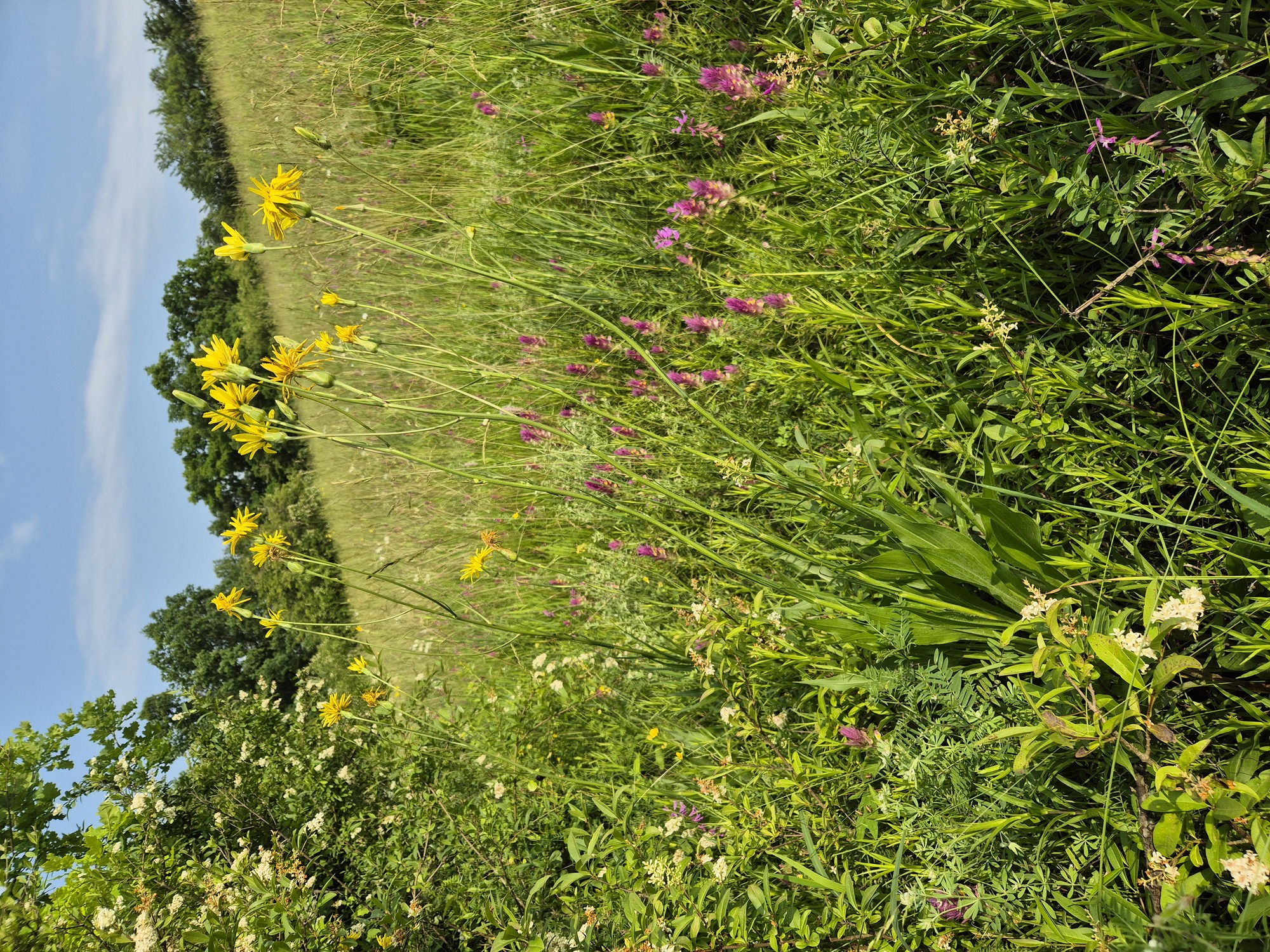 20250608_165438.jpg
