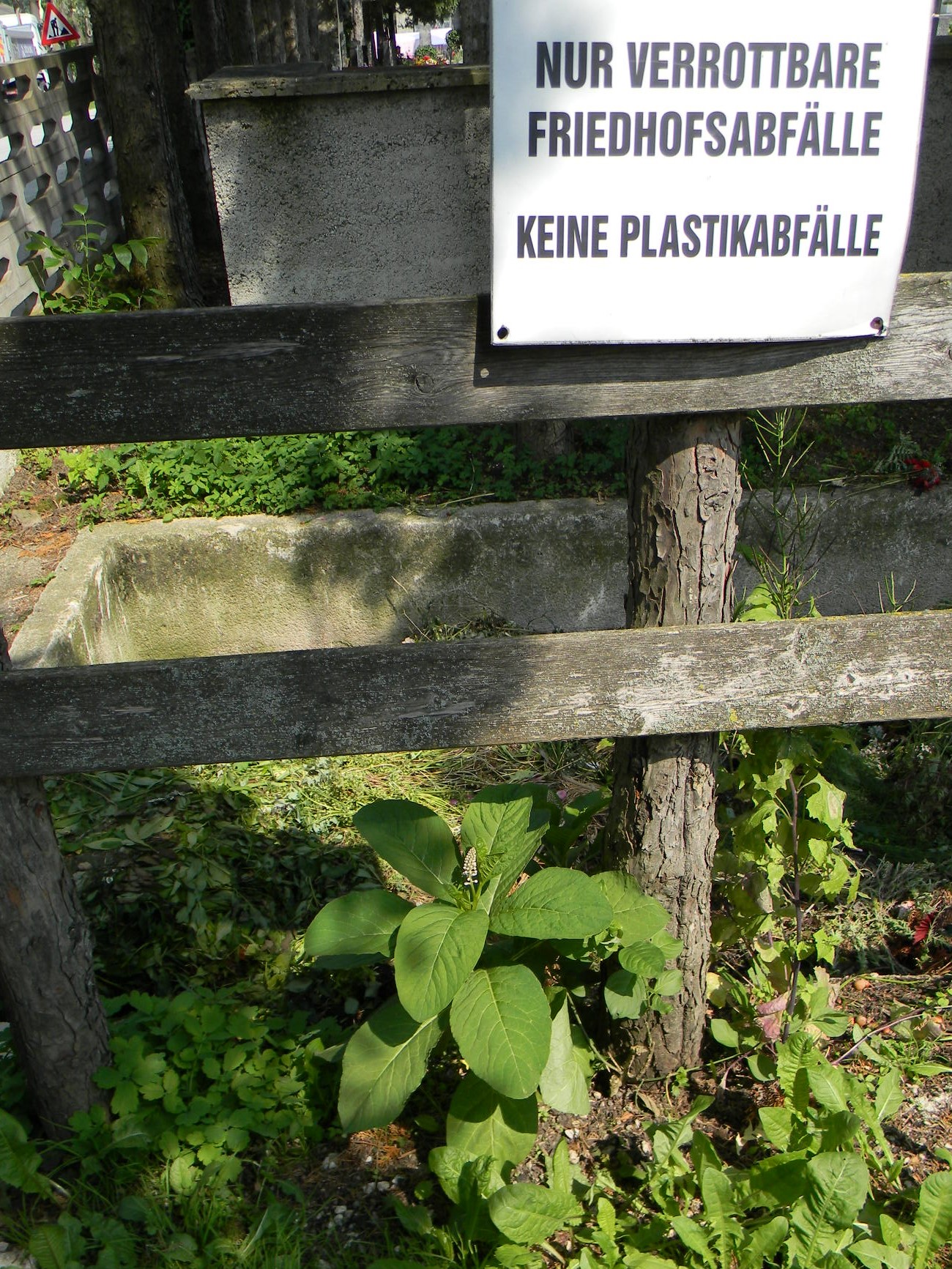 DSCN1275.JPG