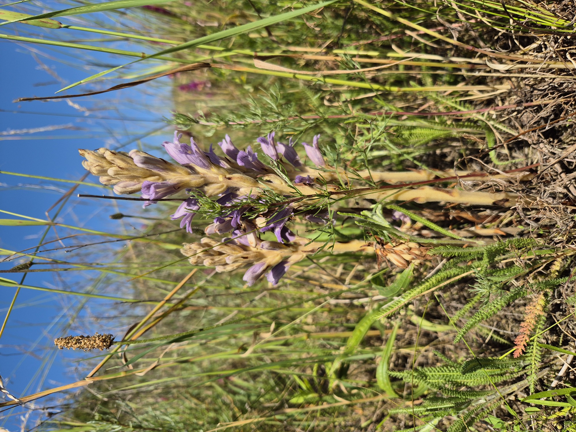 20250614_152249.jpg