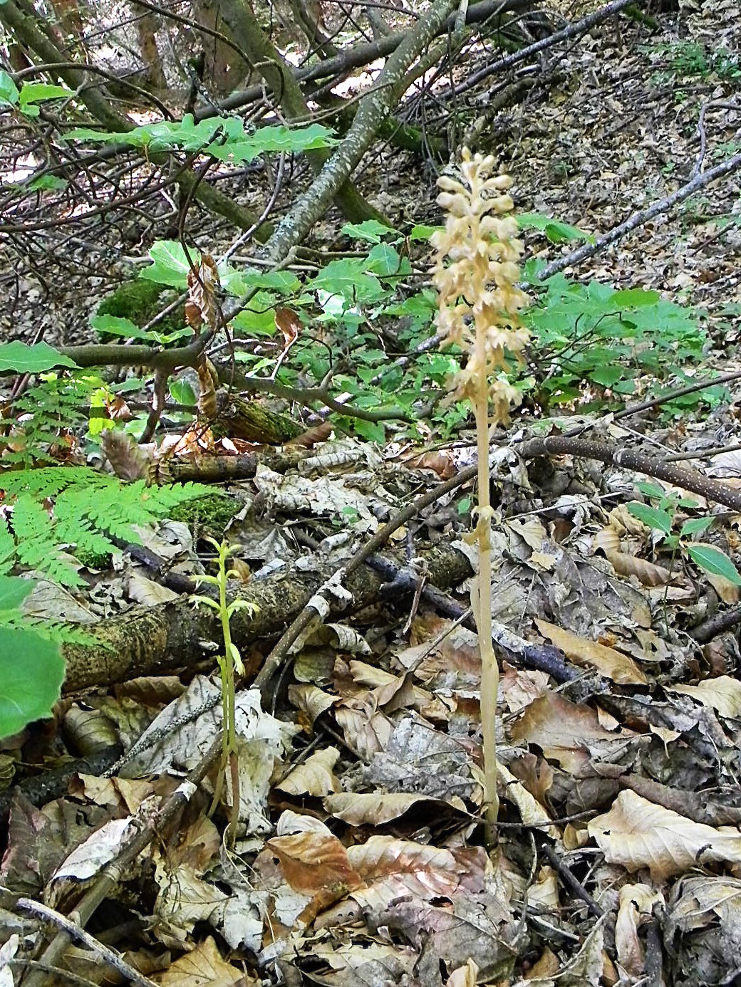 DSCN1341.JPG