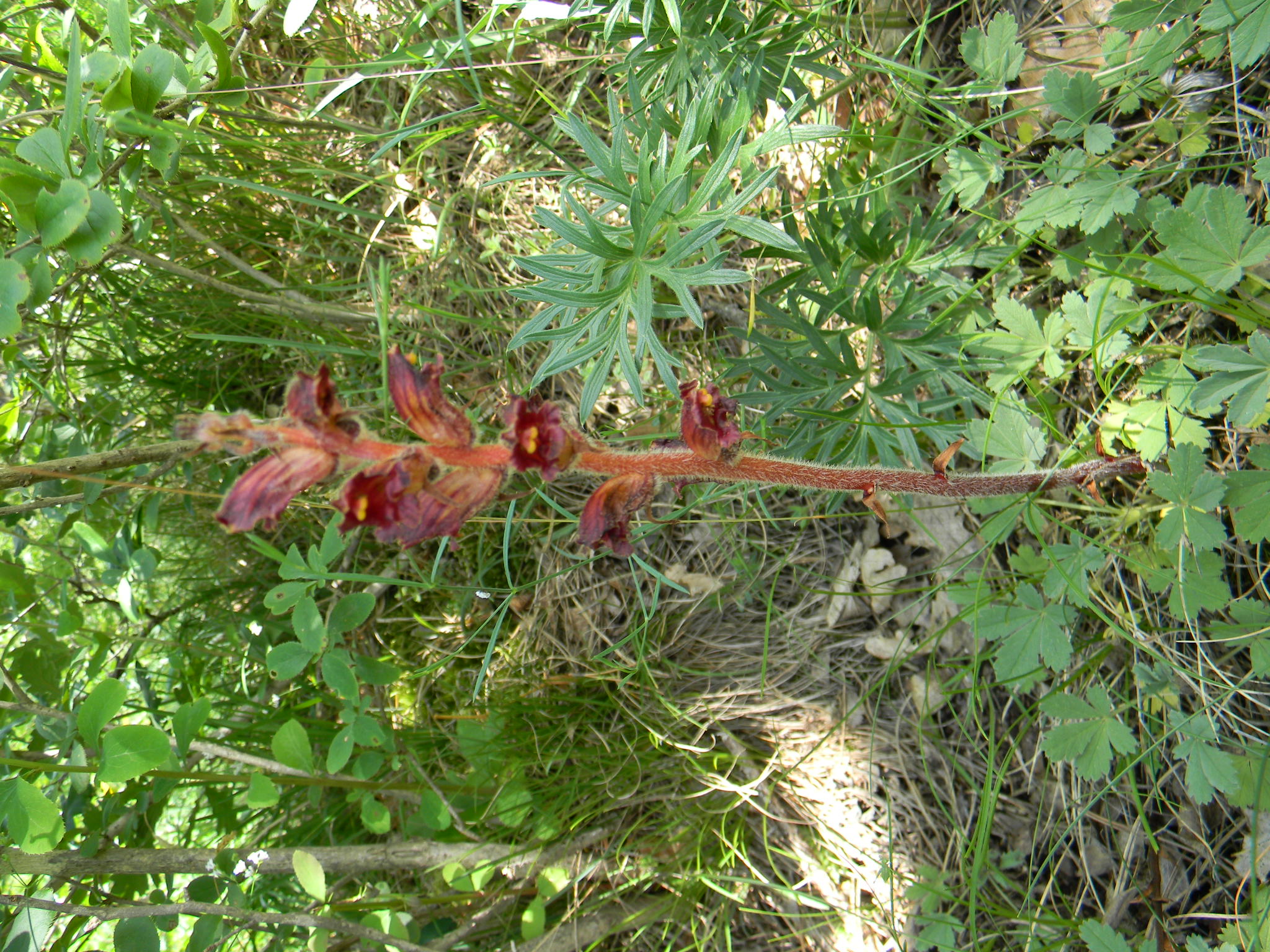 DSCN1308.JPG