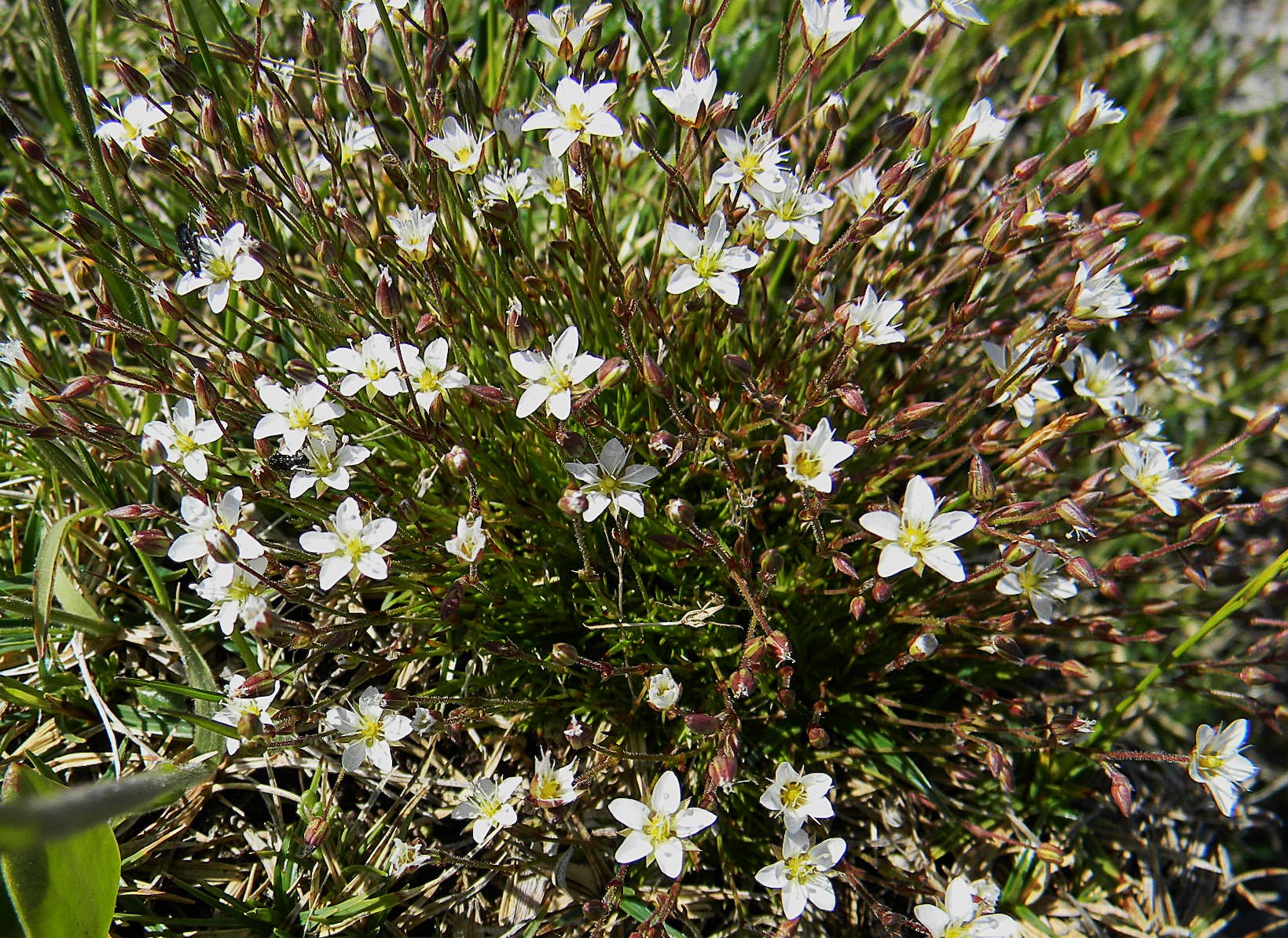 DSCN1374.JPG