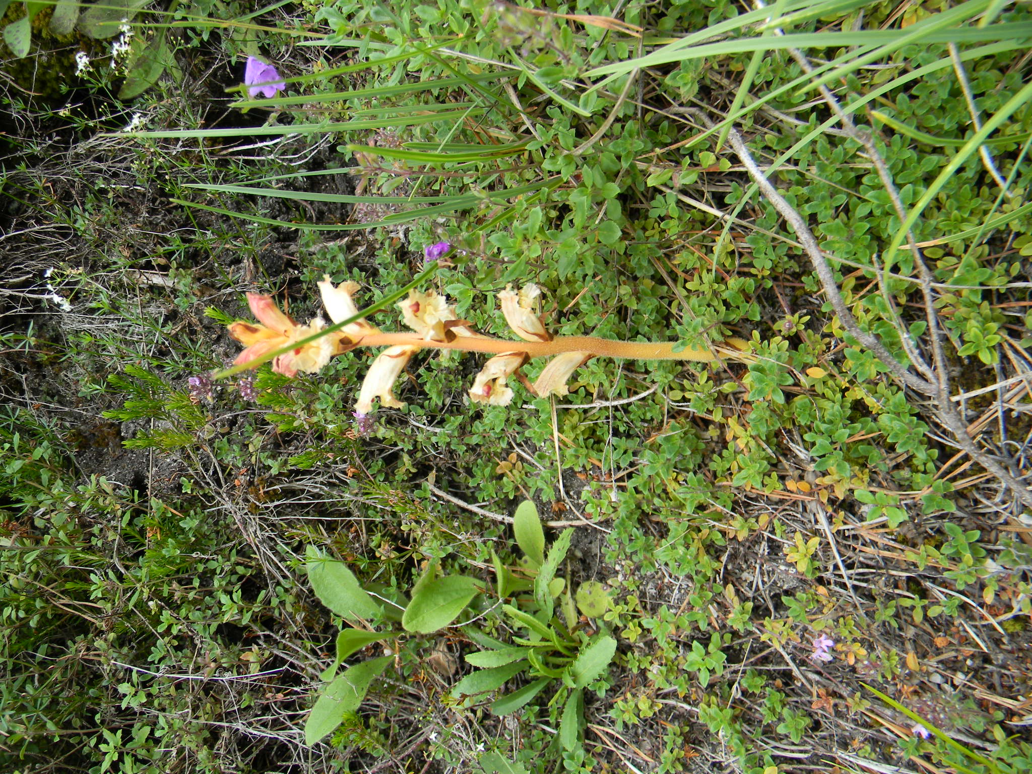 DSCN1439.JPG