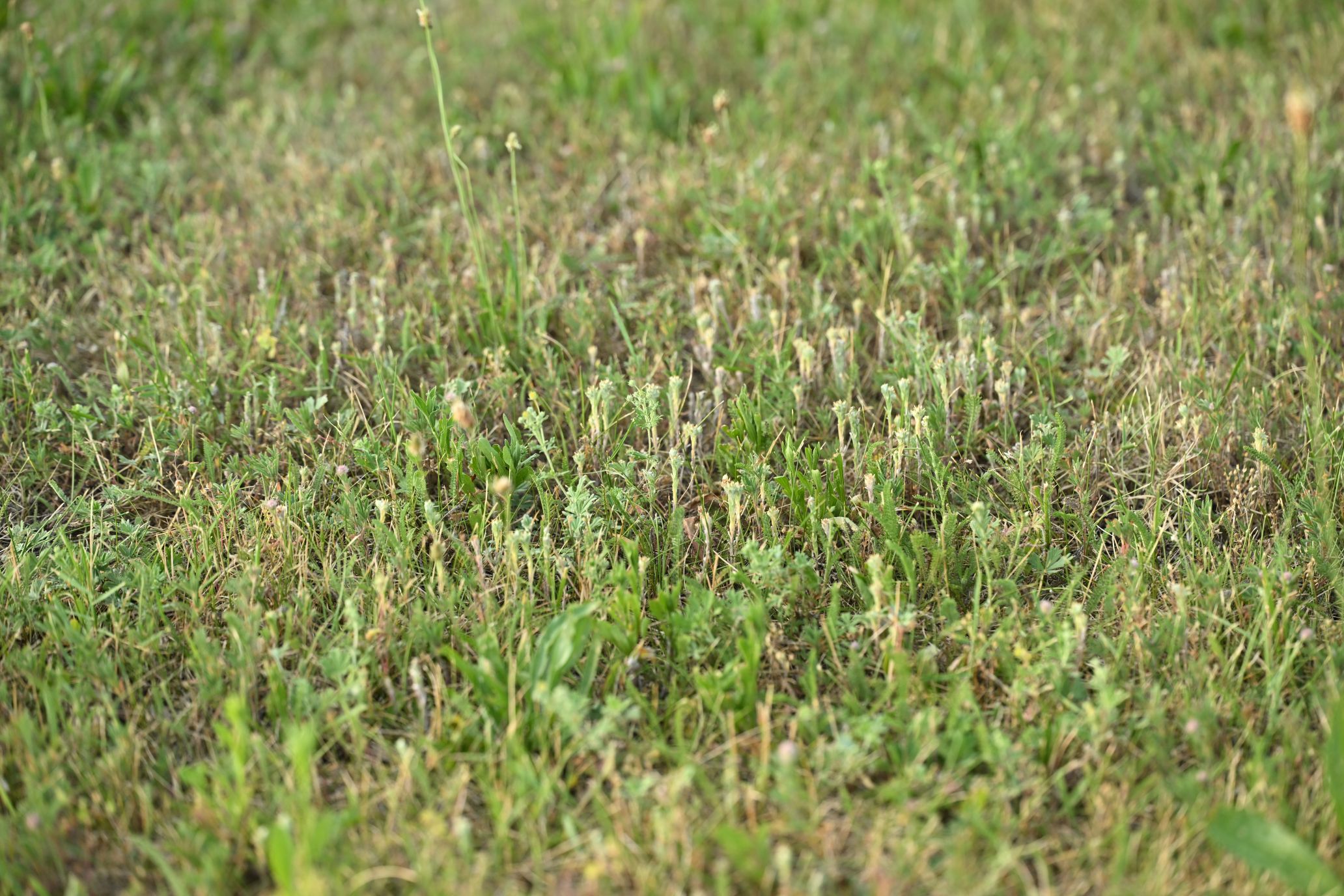 2025-06-28_19-38-59_4086.jpg