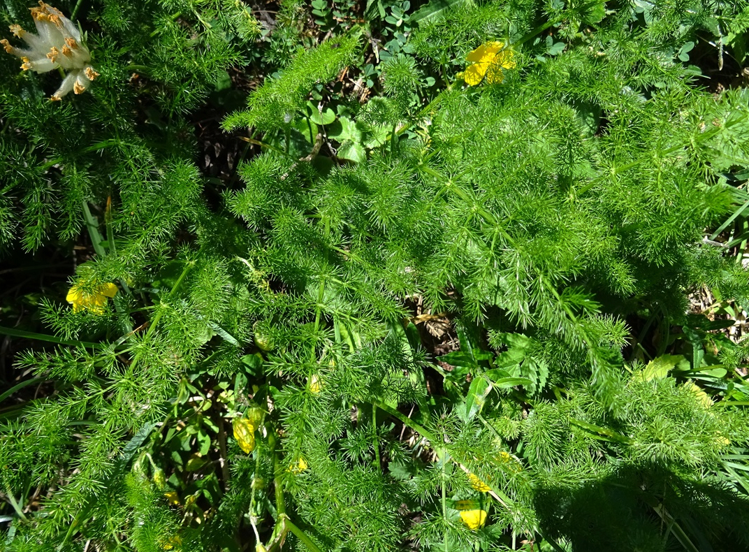 DSC05863.JPG