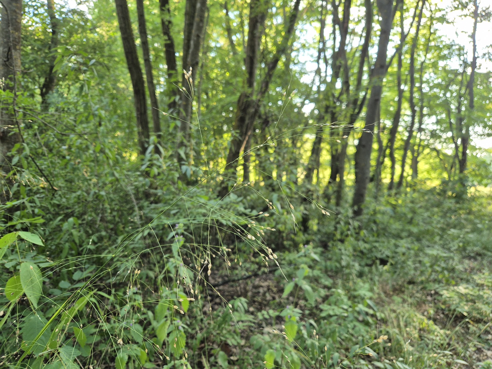 20250704_193704.jpg