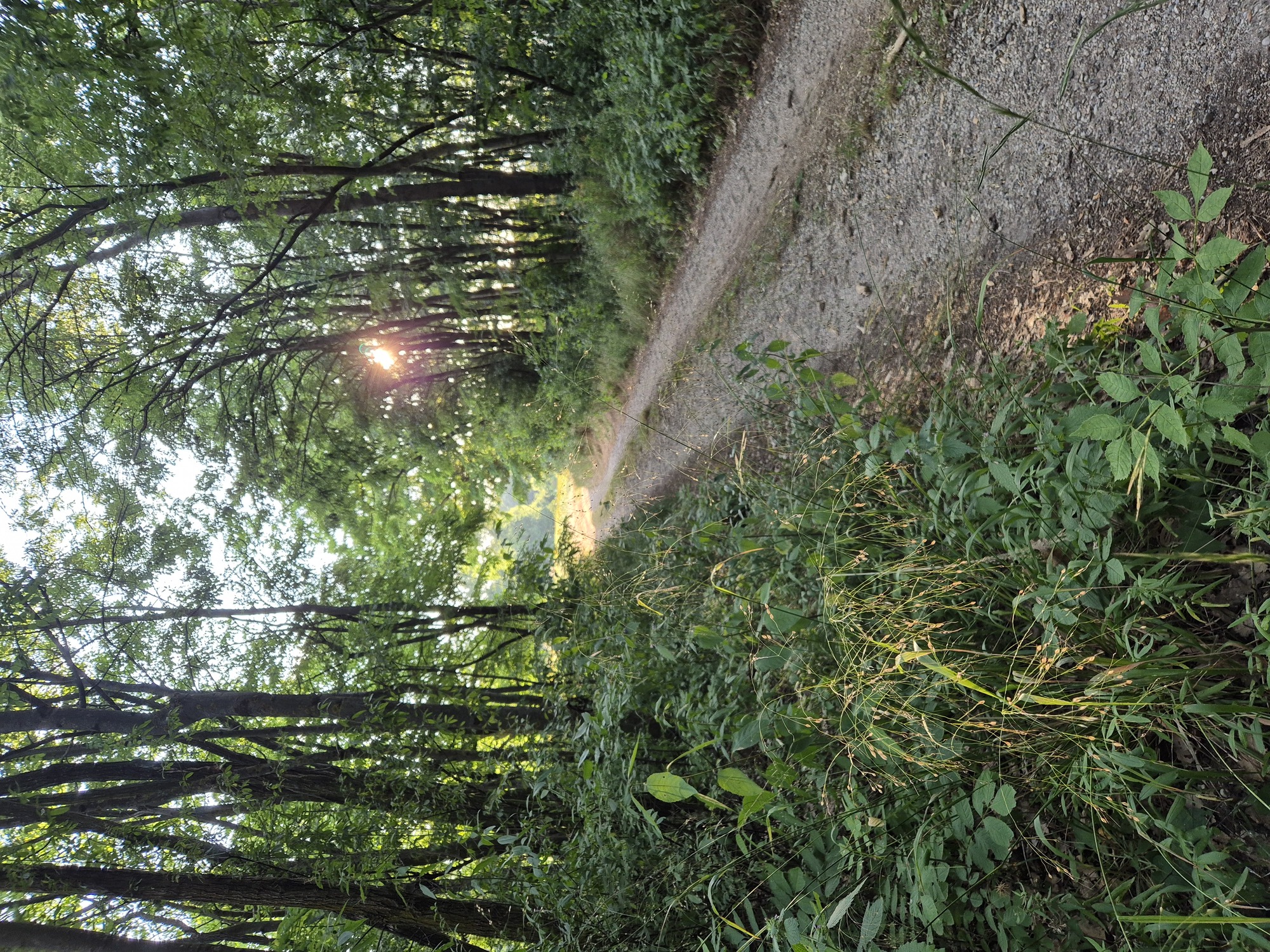 20250704_194656.jpg