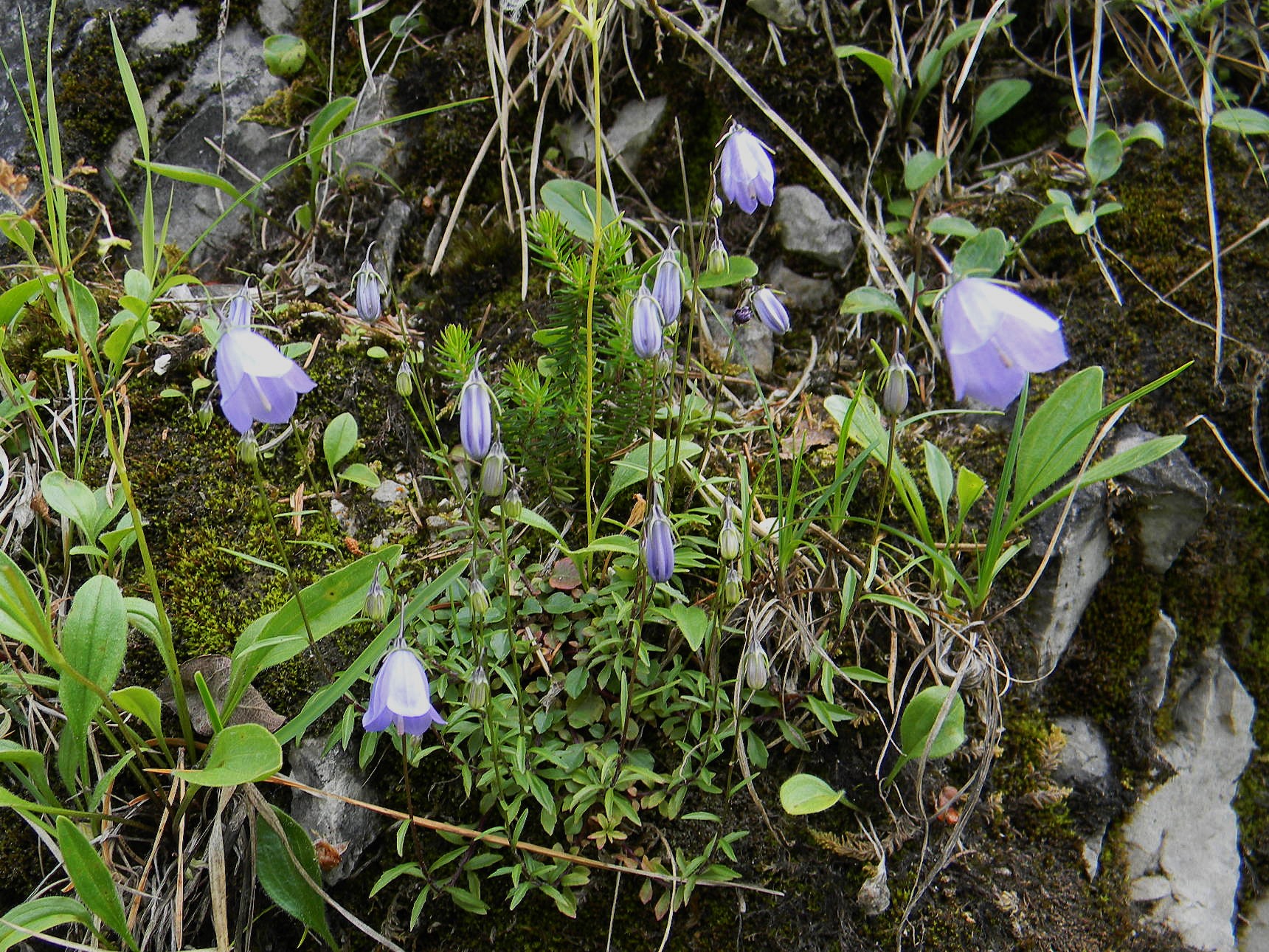 DSCN1469.JPG