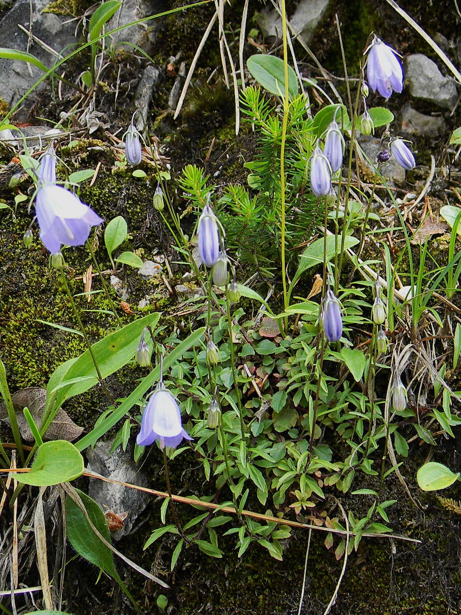DSCN1470.JPG