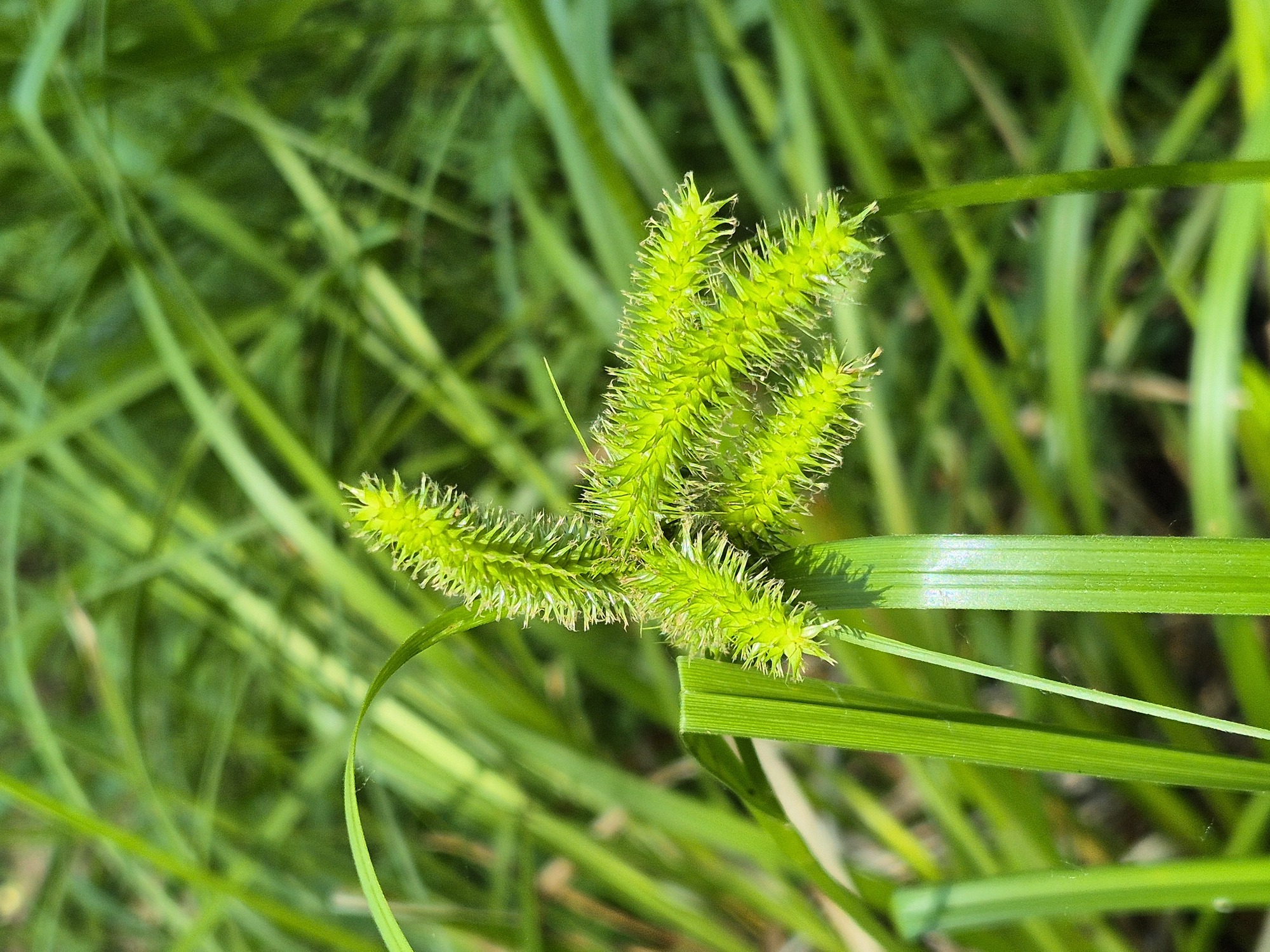 20250622_111815.jpg