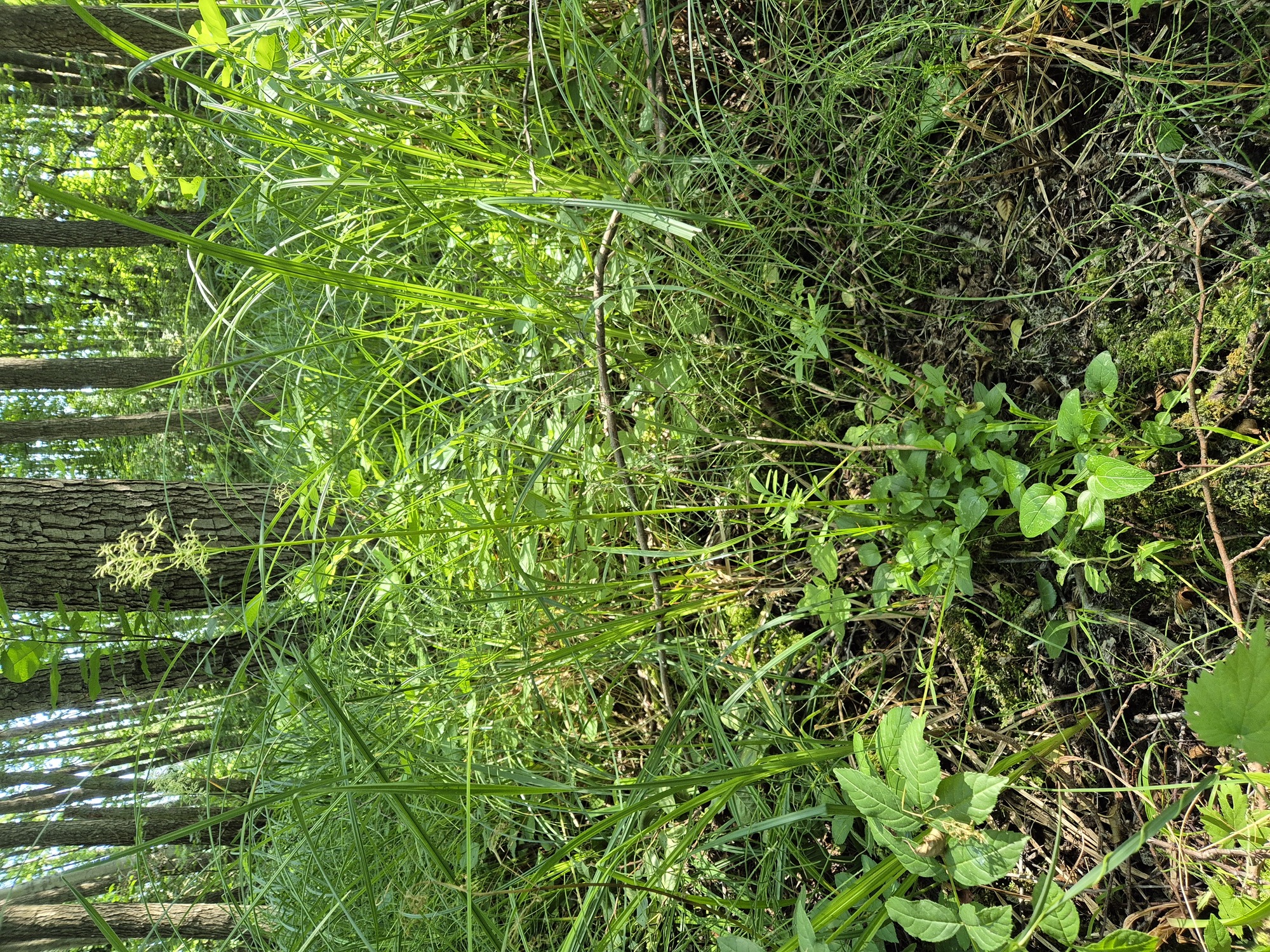 20250705_092148.jpg