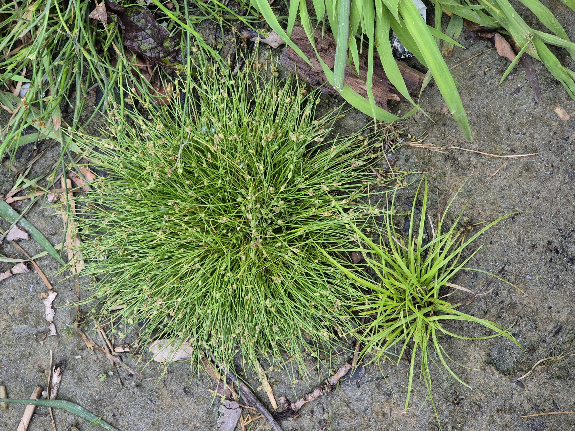 20250725_191108.jpg