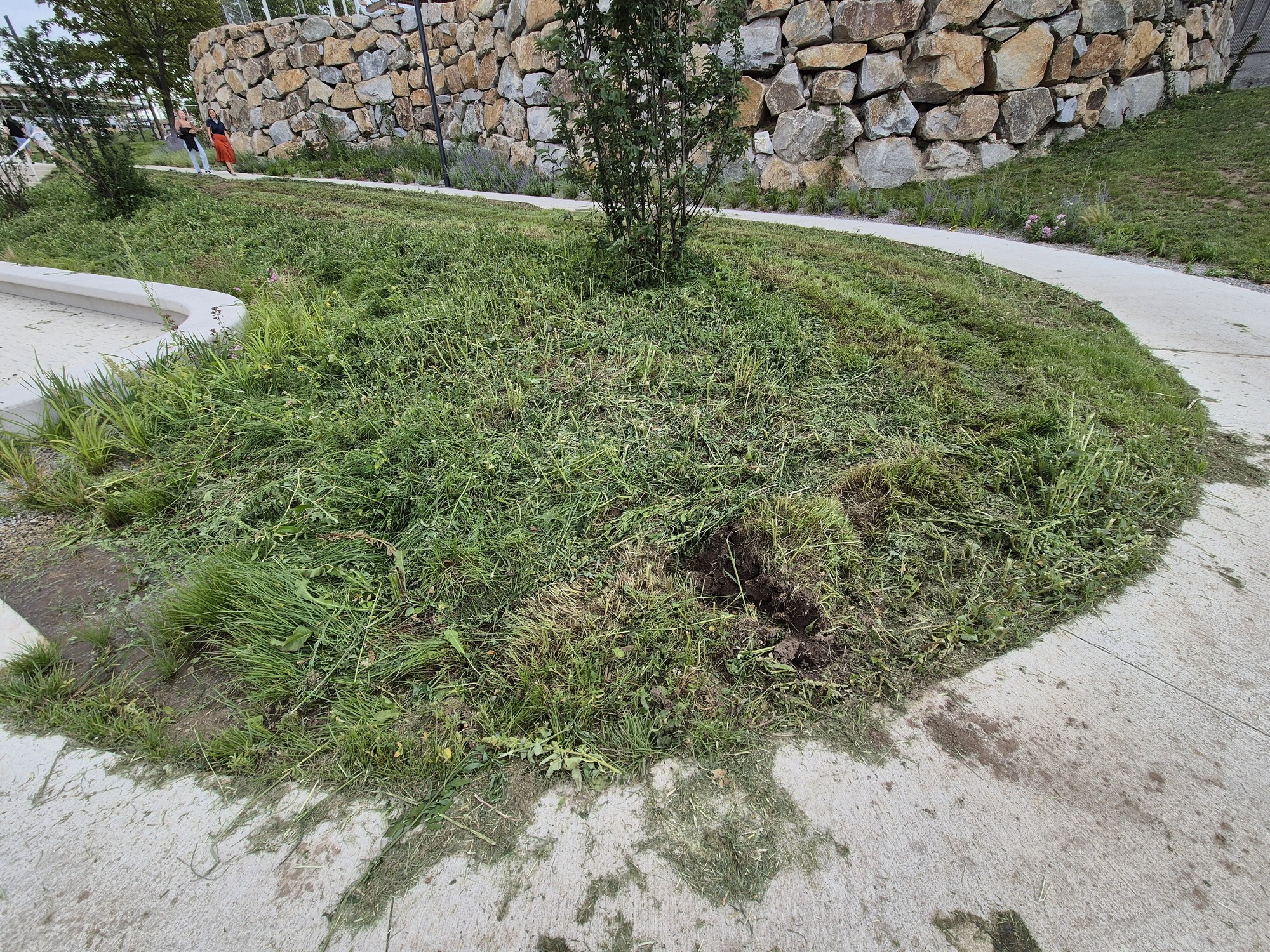 20250731_181250.jpg