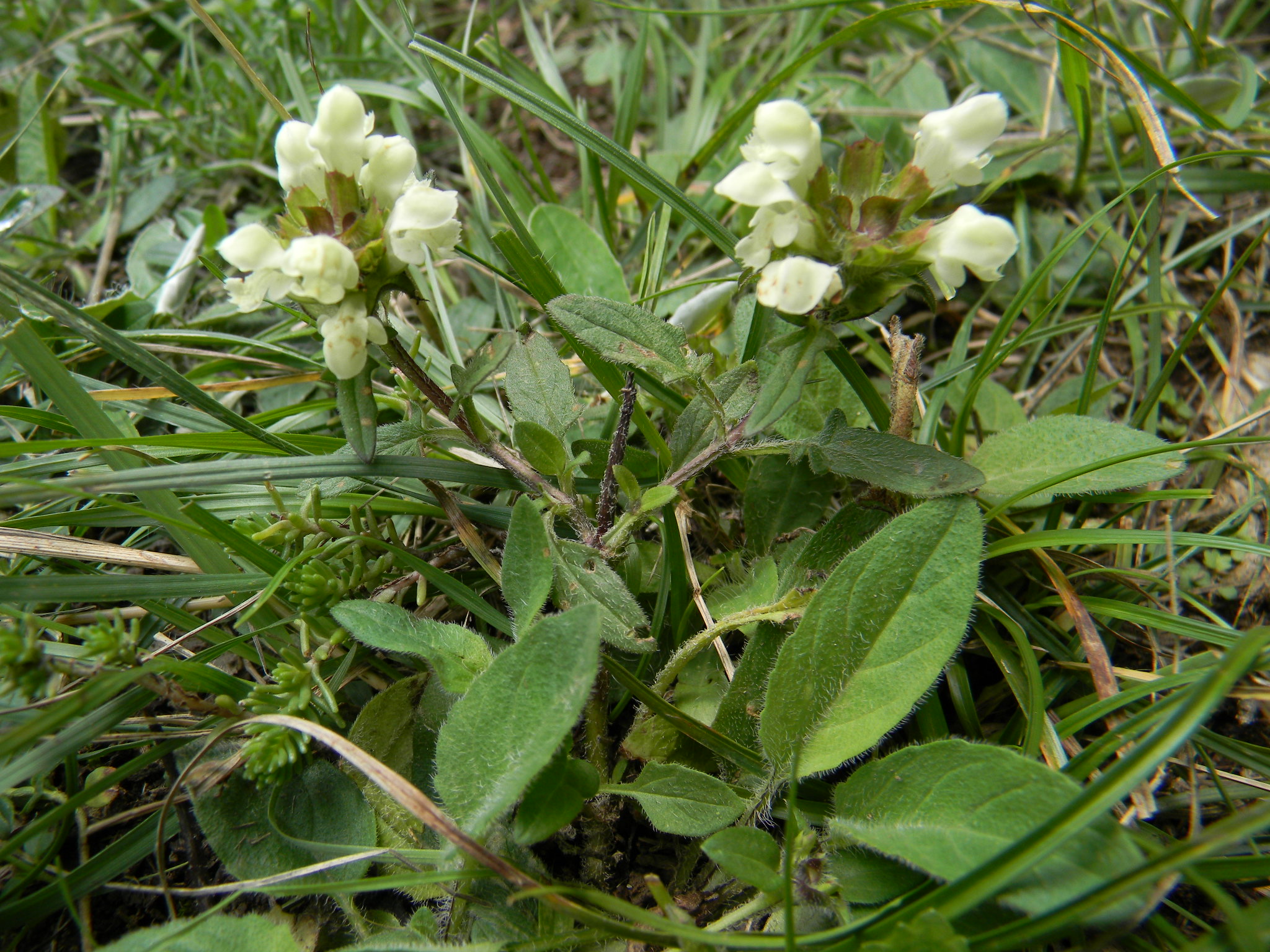 DSCN1544.JPG