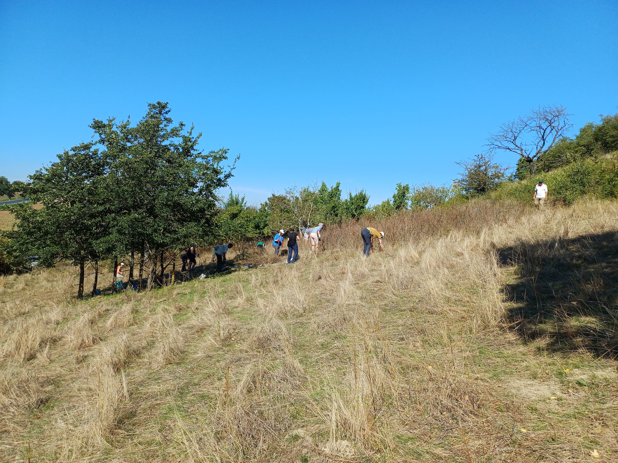 pflegeeinsatz NSG zeiserlberg 20250920_105827.jpg