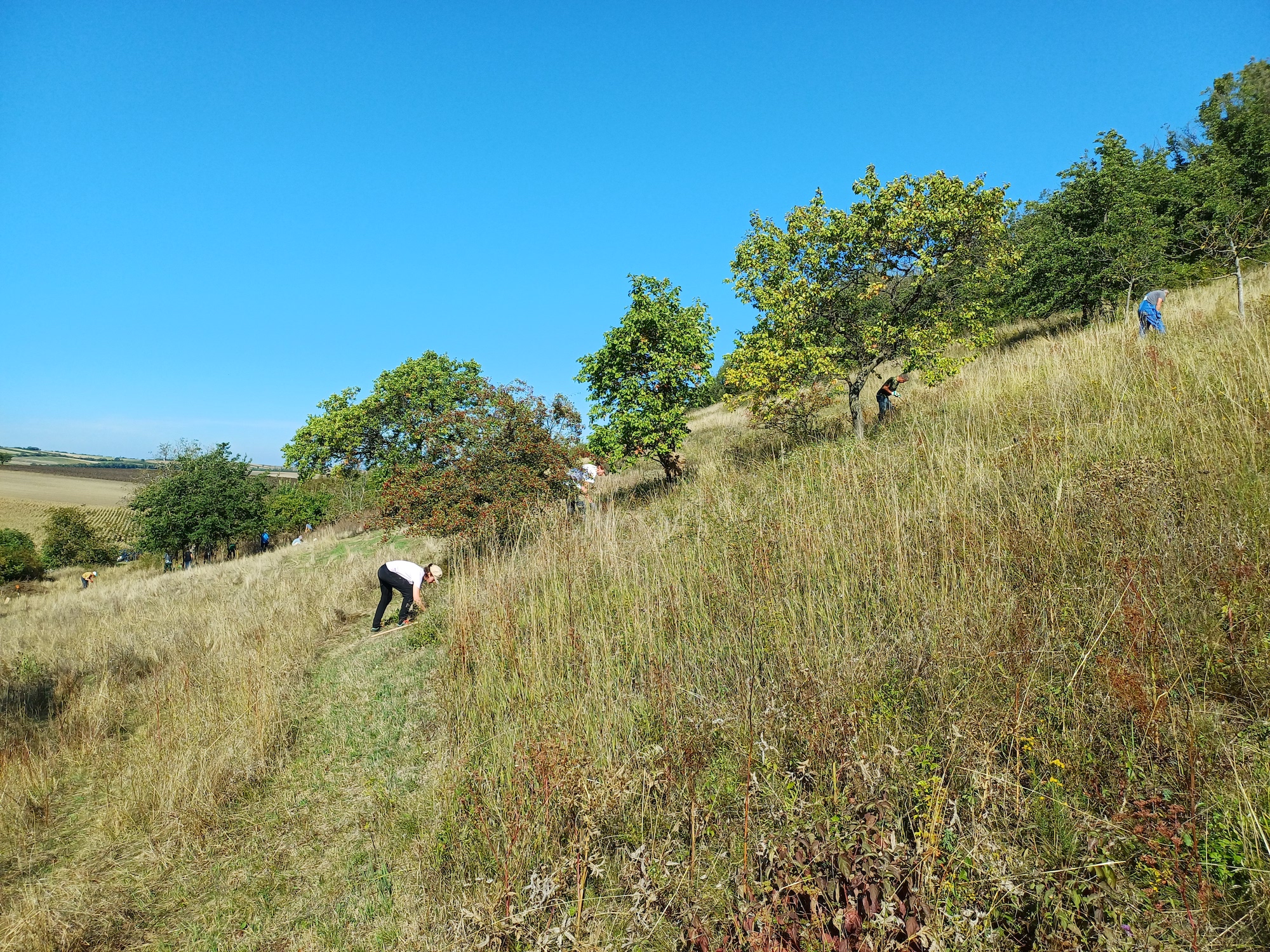pflegeeinsatz NSG zeiserlberg 20250920_104029.jpg
