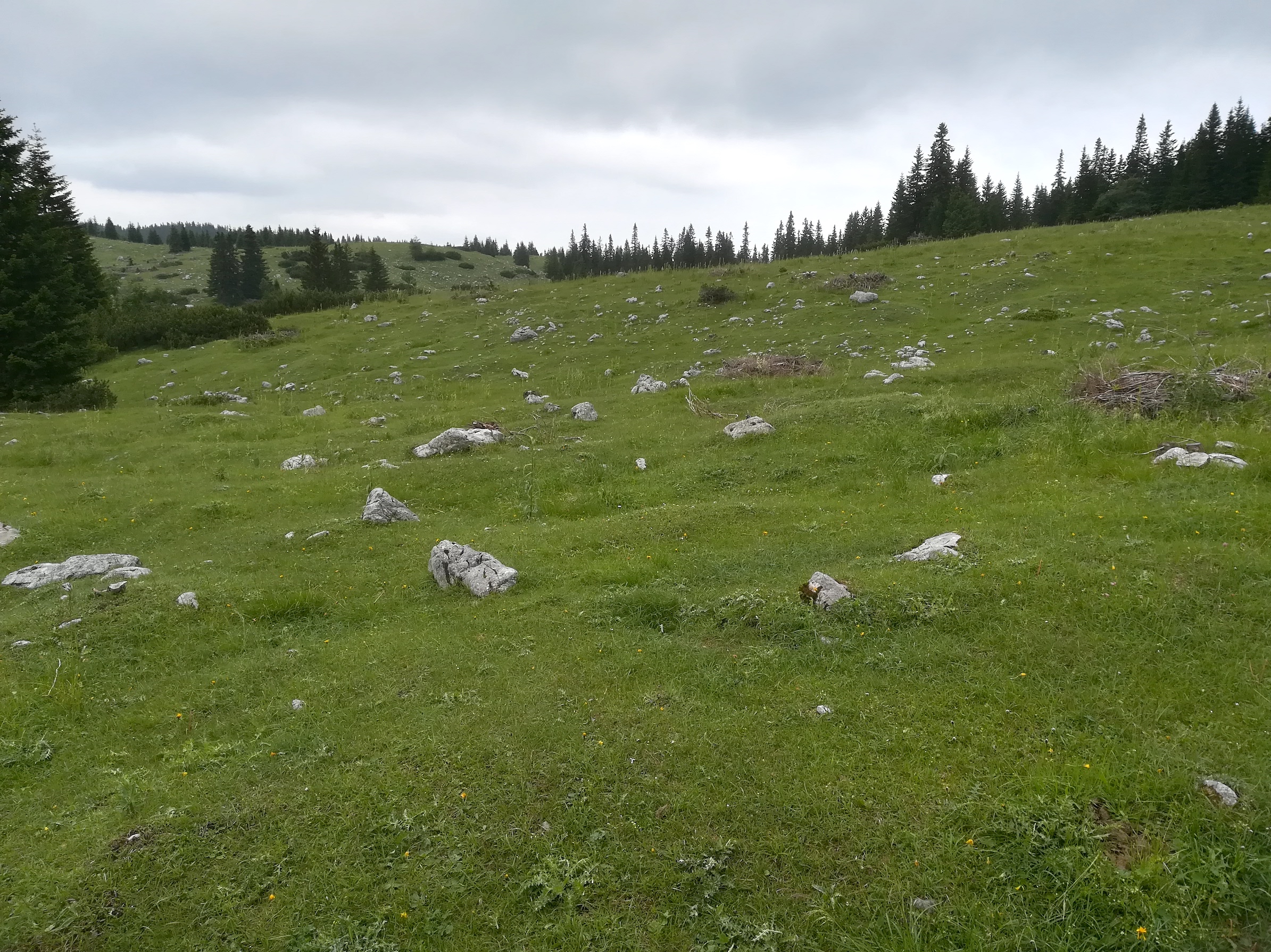 ochsenboden schneeberg losenheim - ochsenboden_20180615_134713.jpg