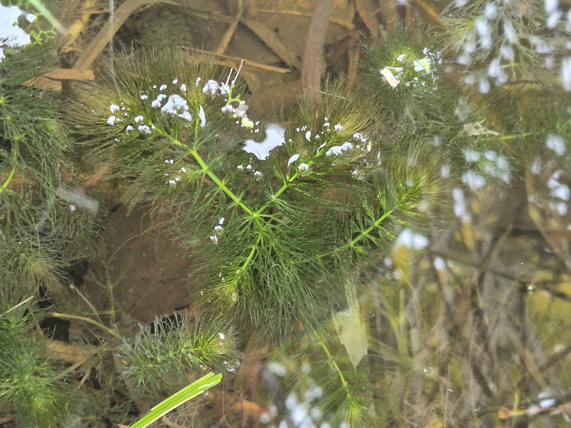 20251011_115052.jpg
