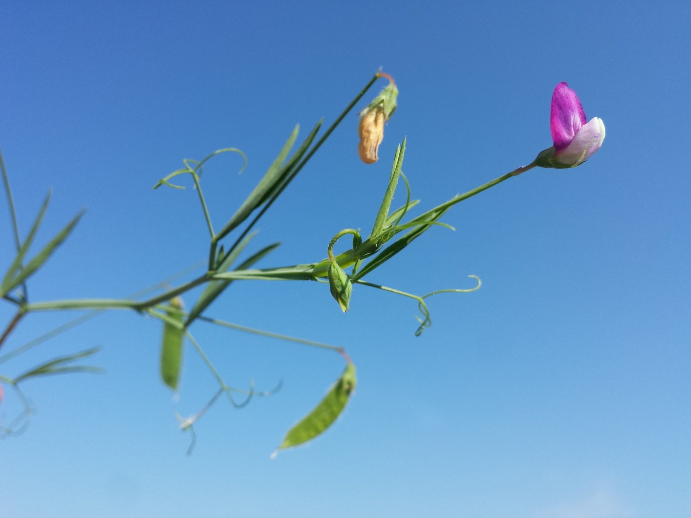 20180714_085001.jpg