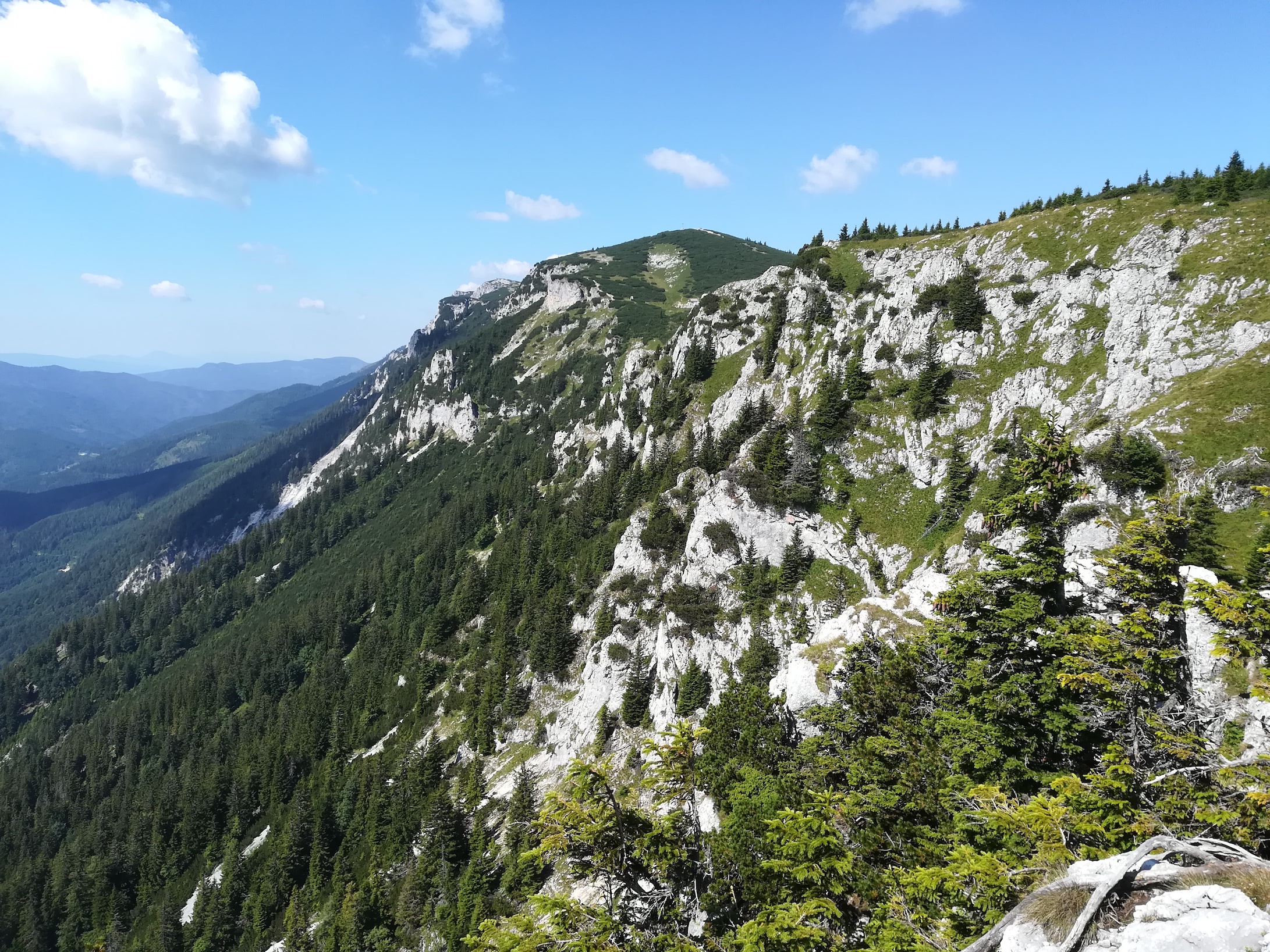 panorama rax törlweg zw. bergstation seilbahn und törlkopf_20180720_102646.jpg
