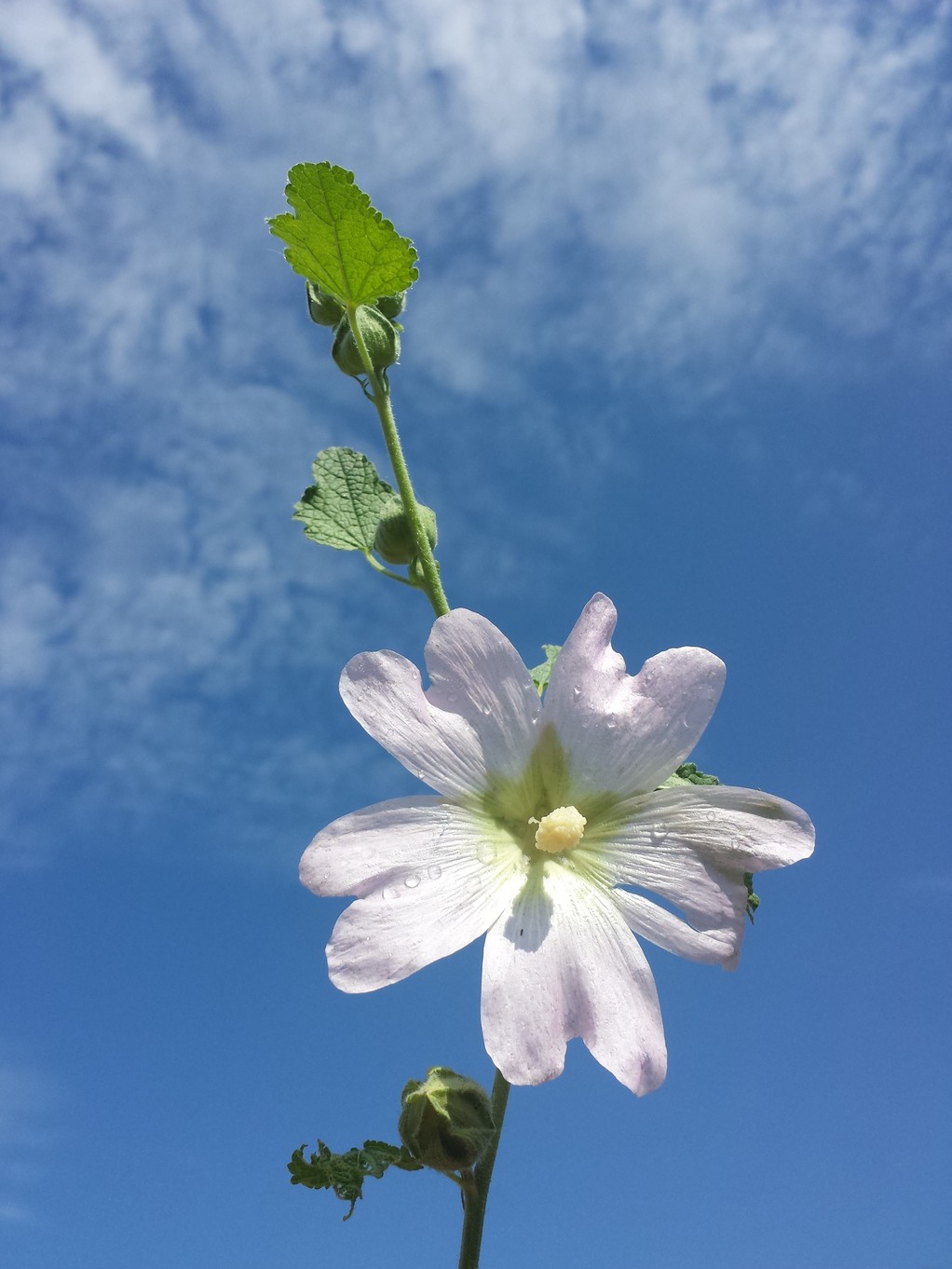 20180727_095046.jpg