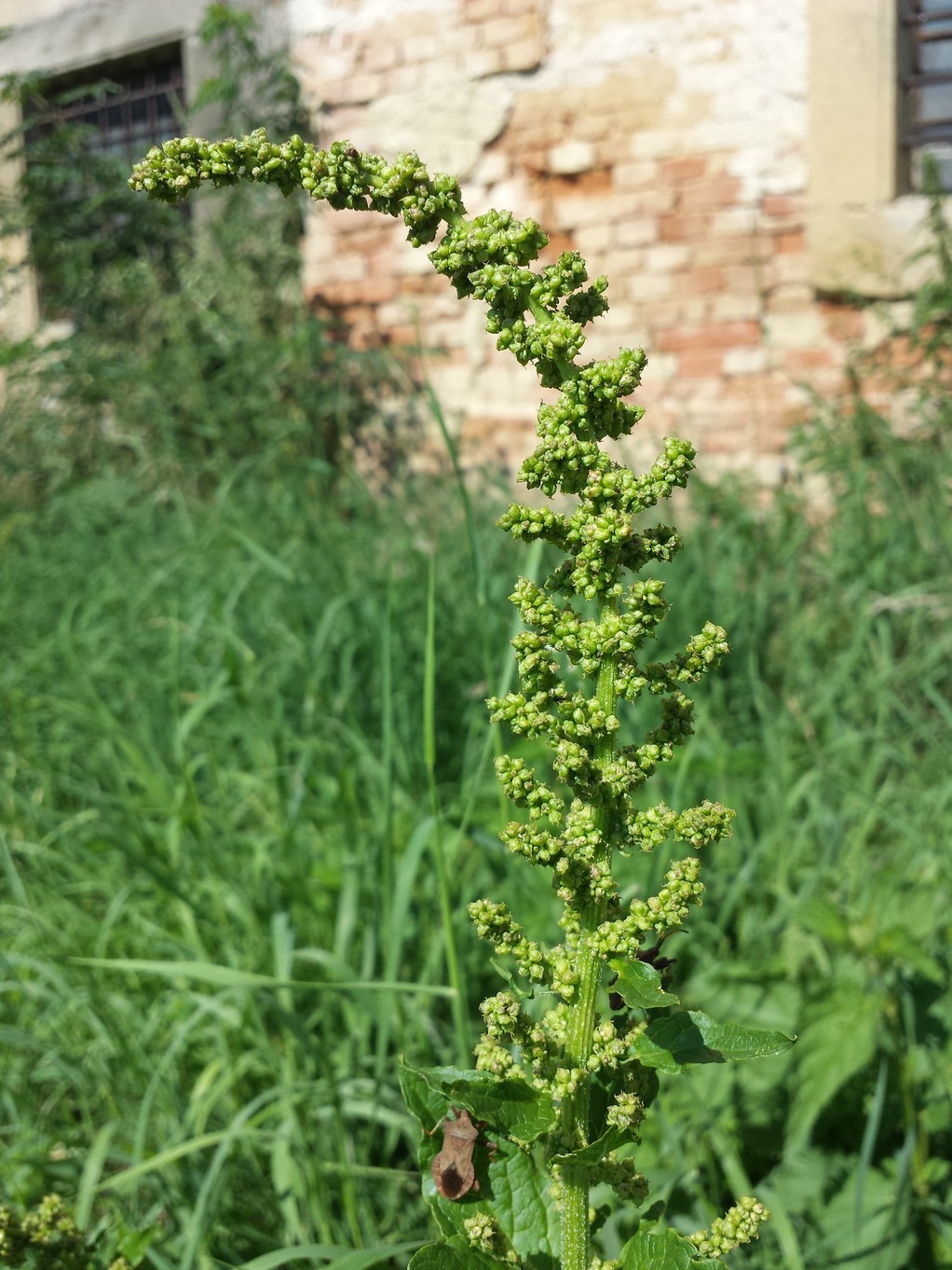 20180728_155147.jpg