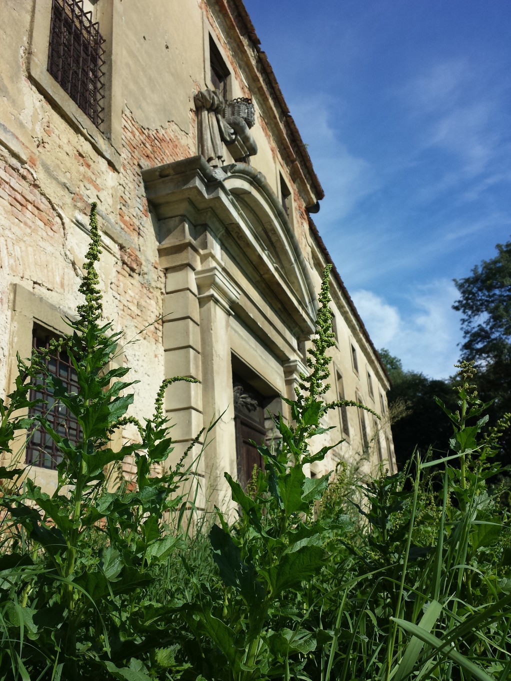 20180728_170519.jpg