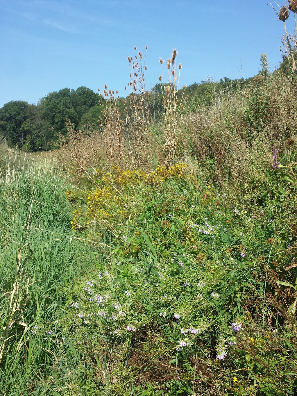 20180818_103211.jpg