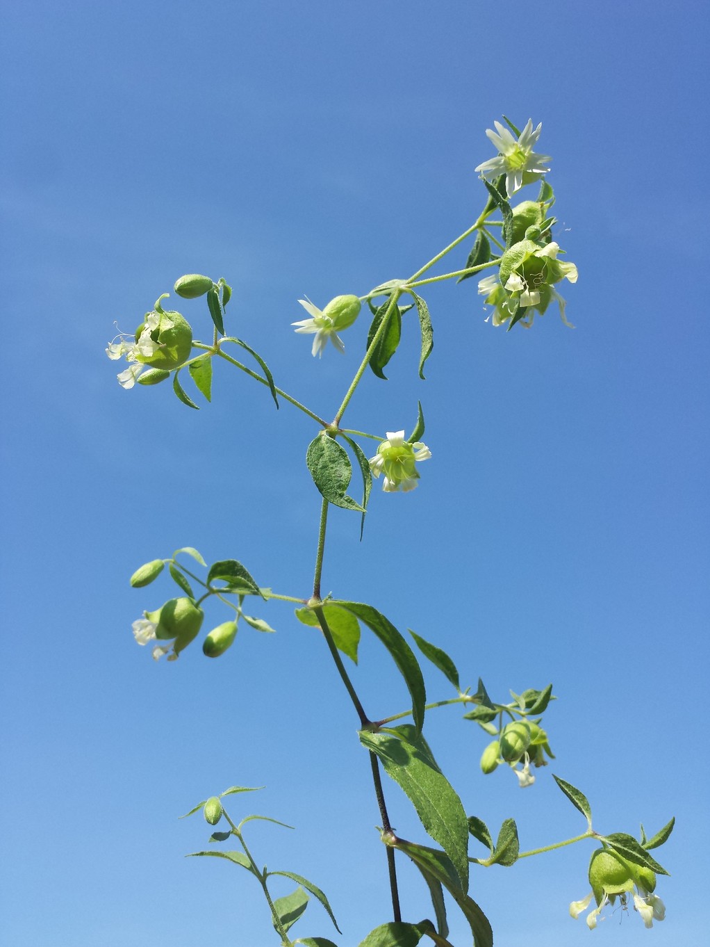 20180818_111341.jpg