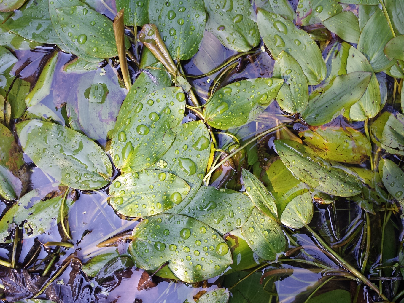 20180819_092023.jpg