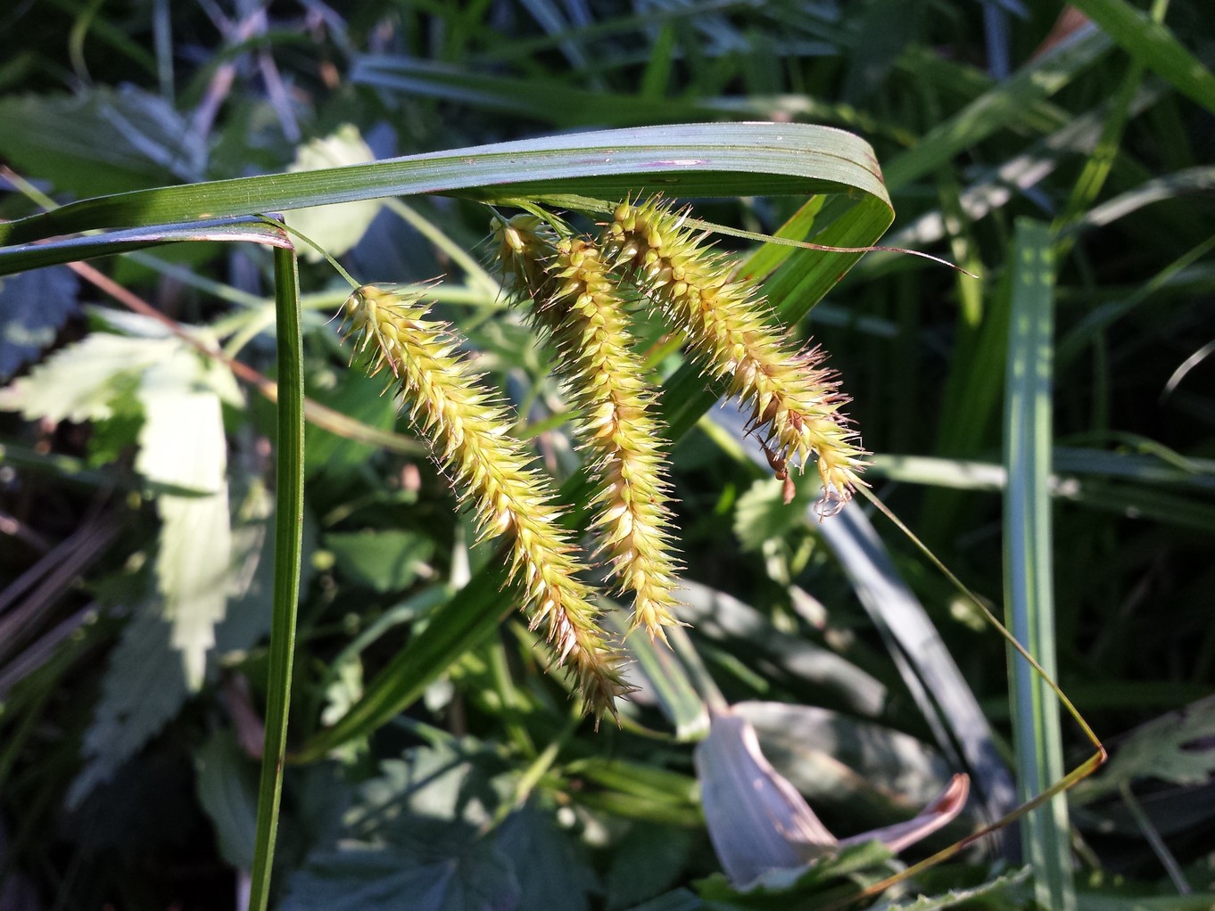 20180819_093635.jpg