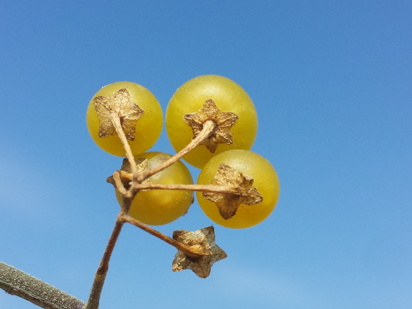 20180831_105352.jpg