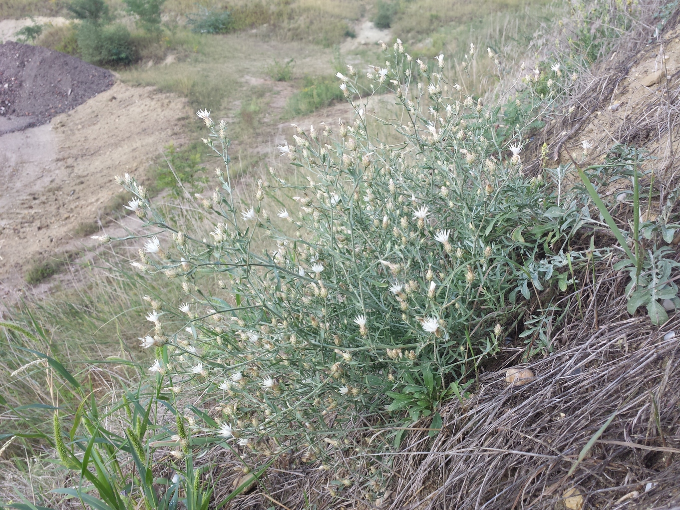 20180902_090857.jpg