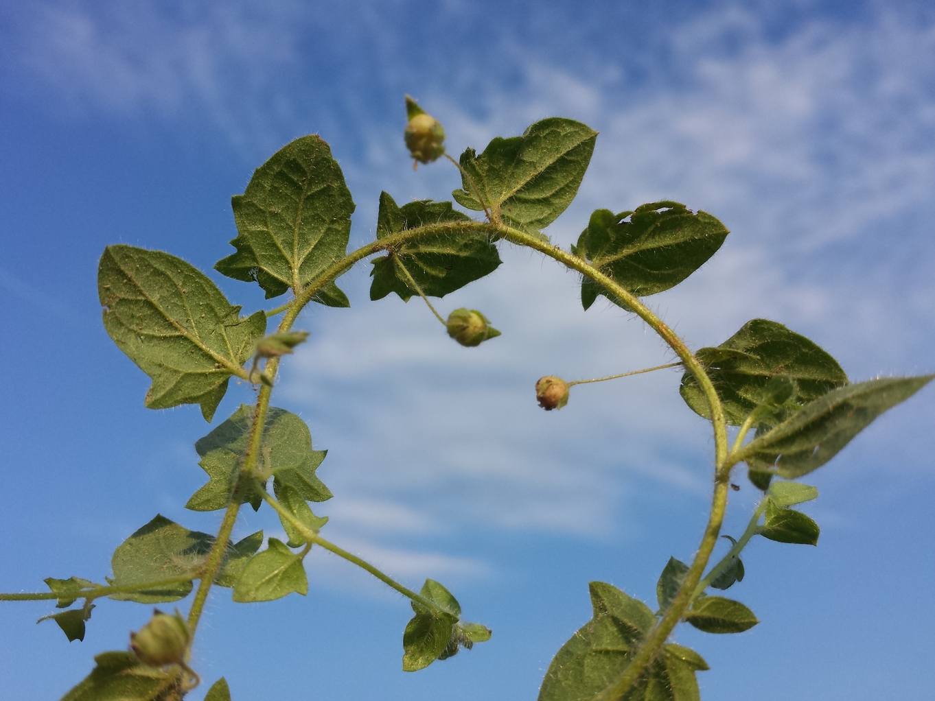 20180907_175042.jpg