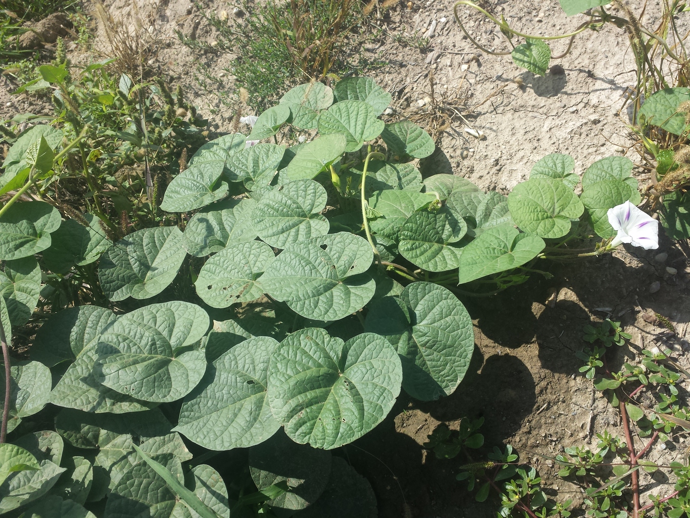 20180908_105554.jpg
