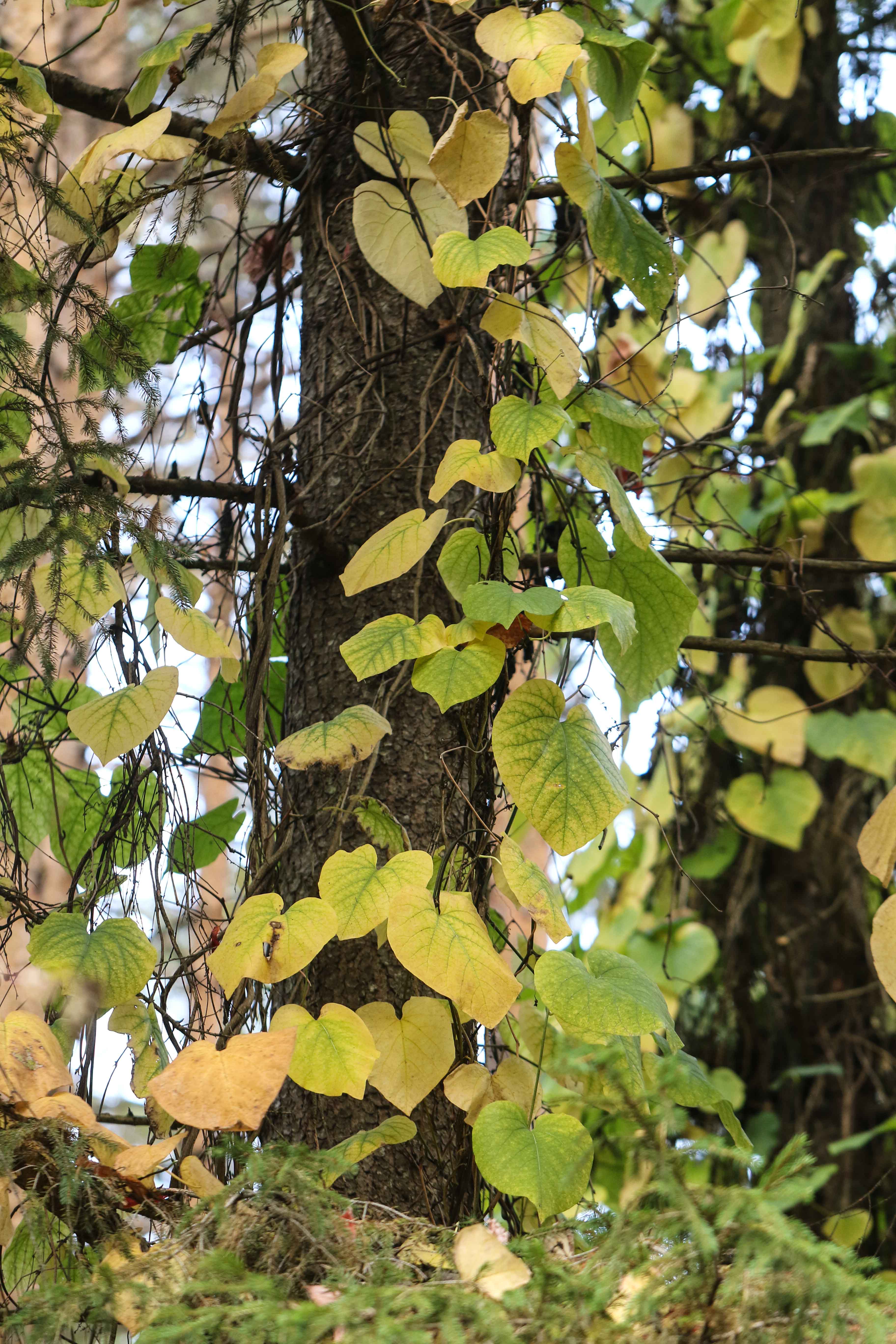 0Y0A8370.jpg