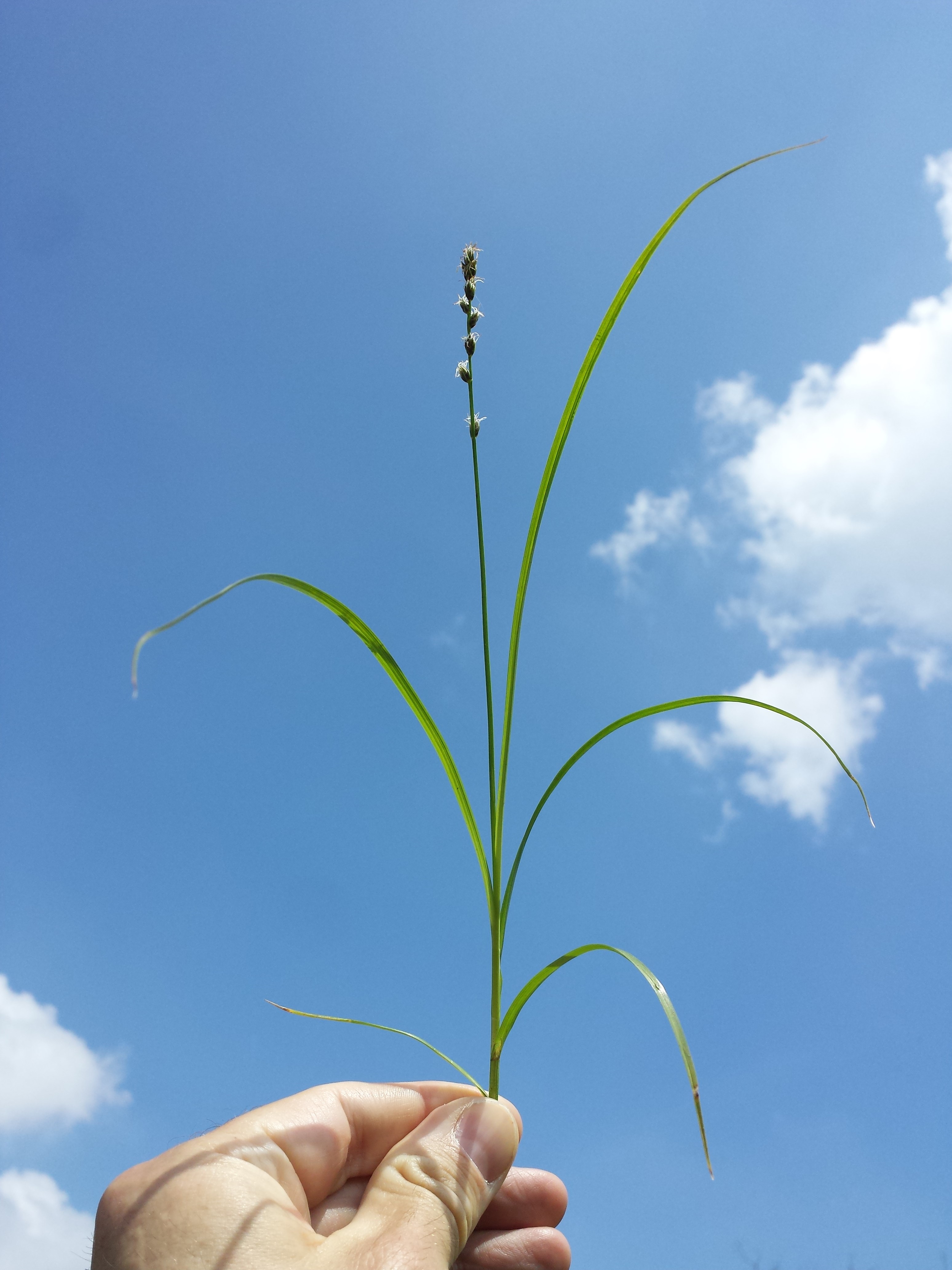20170506_133511.jpg