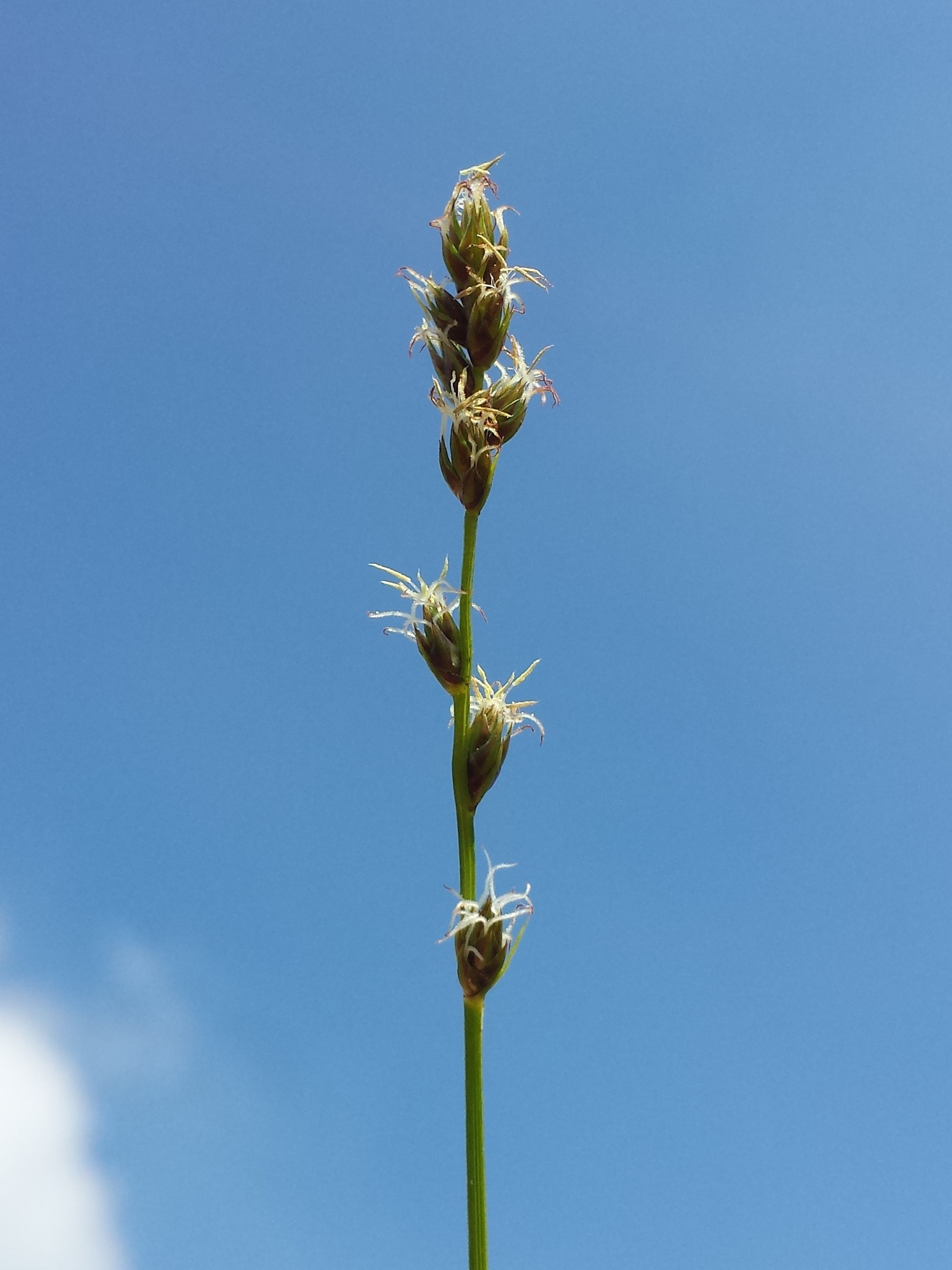 20170506_134250.jpg