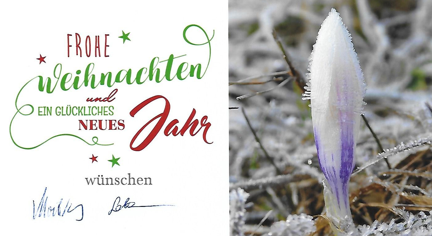 Weihnachten 2018.jpg