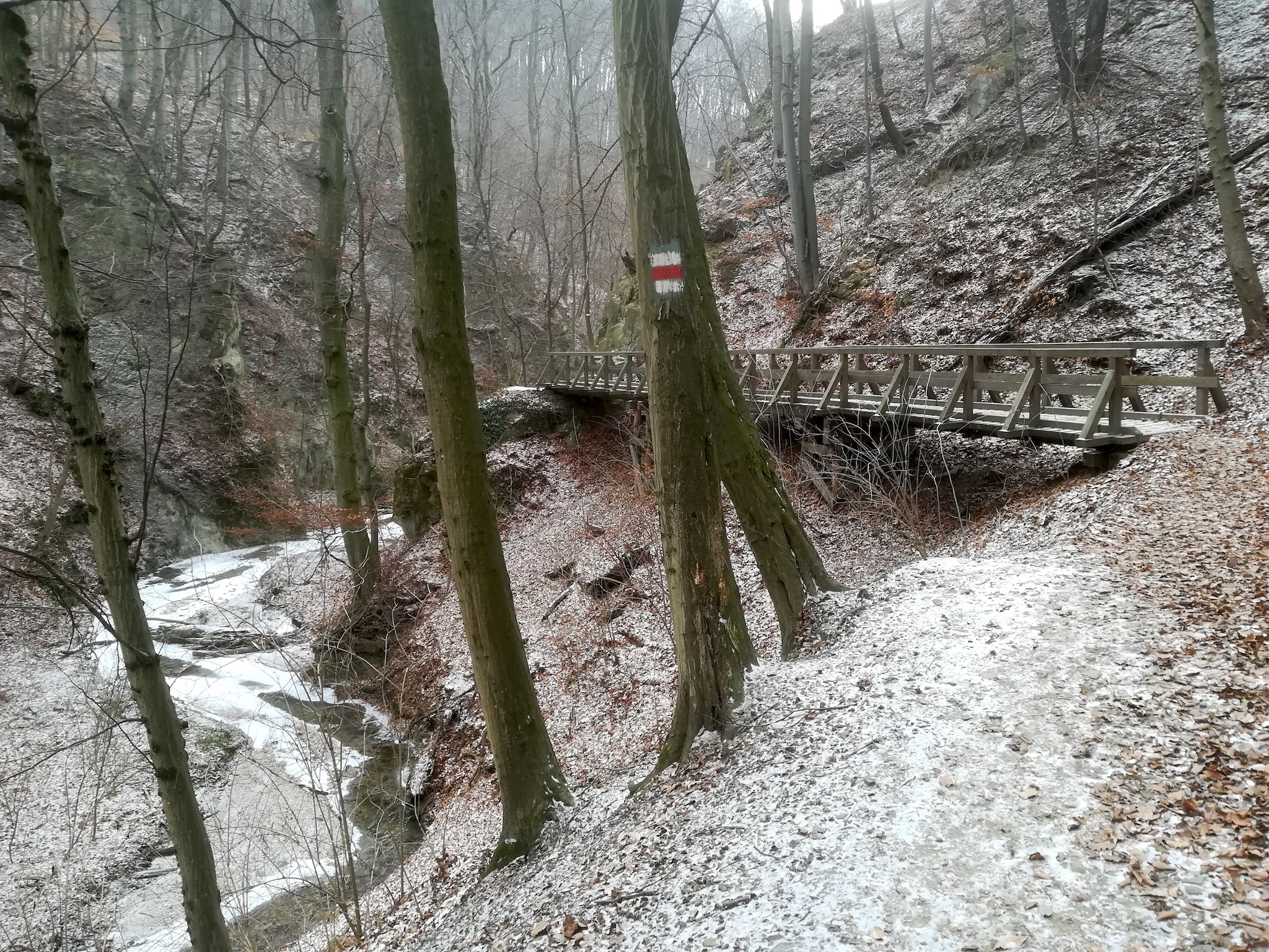 naturpark eichenhain hagenbachklamm_20190125_120841.jpg