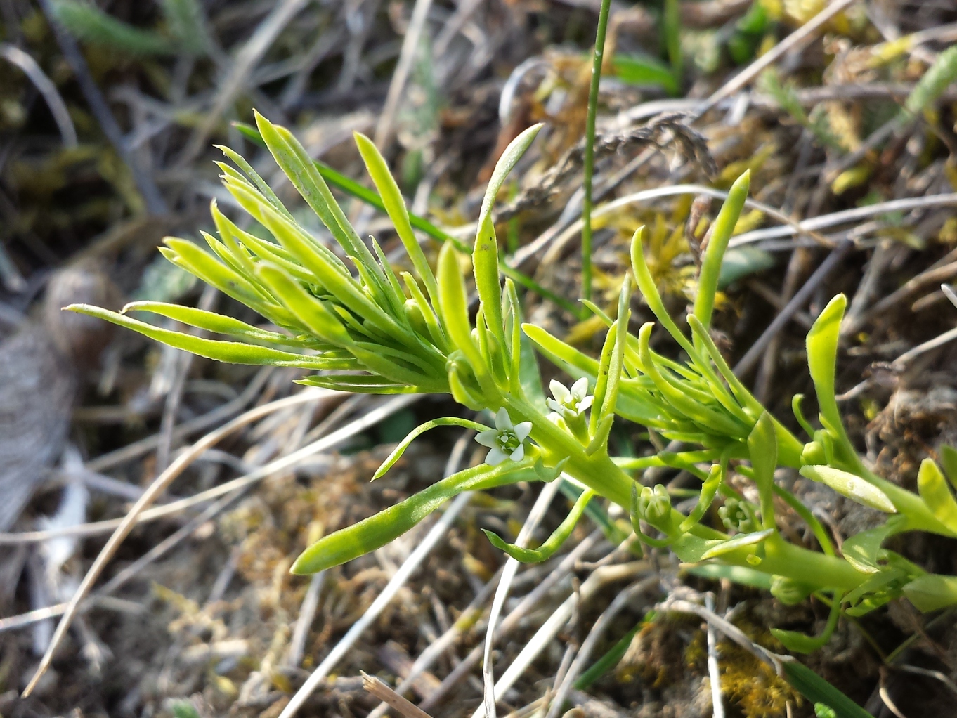 20190324_160840.jpg