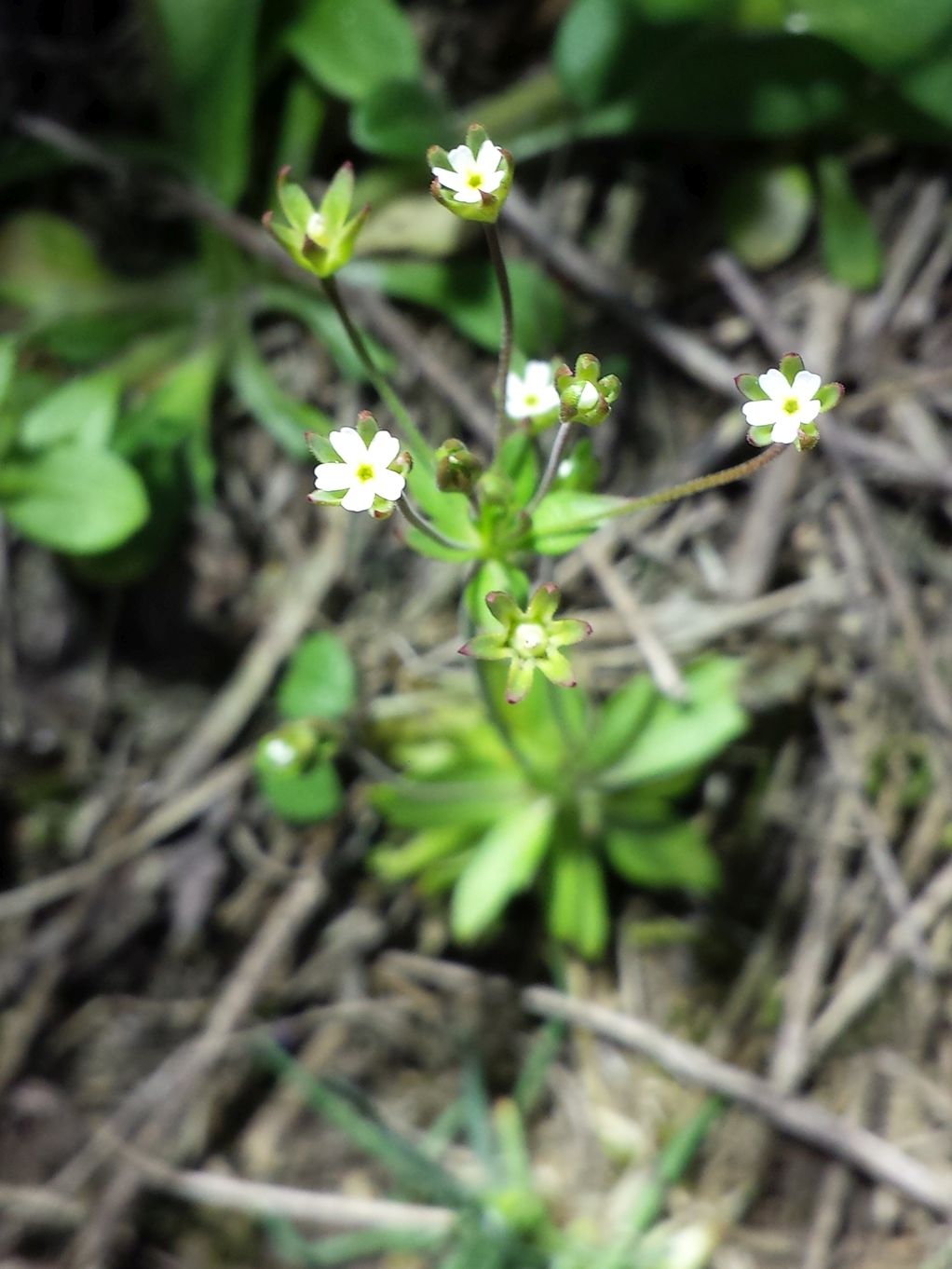 20190326_174240.jpg