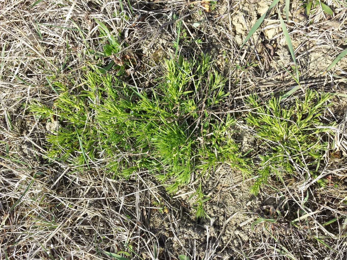 20190329_092807.jpg