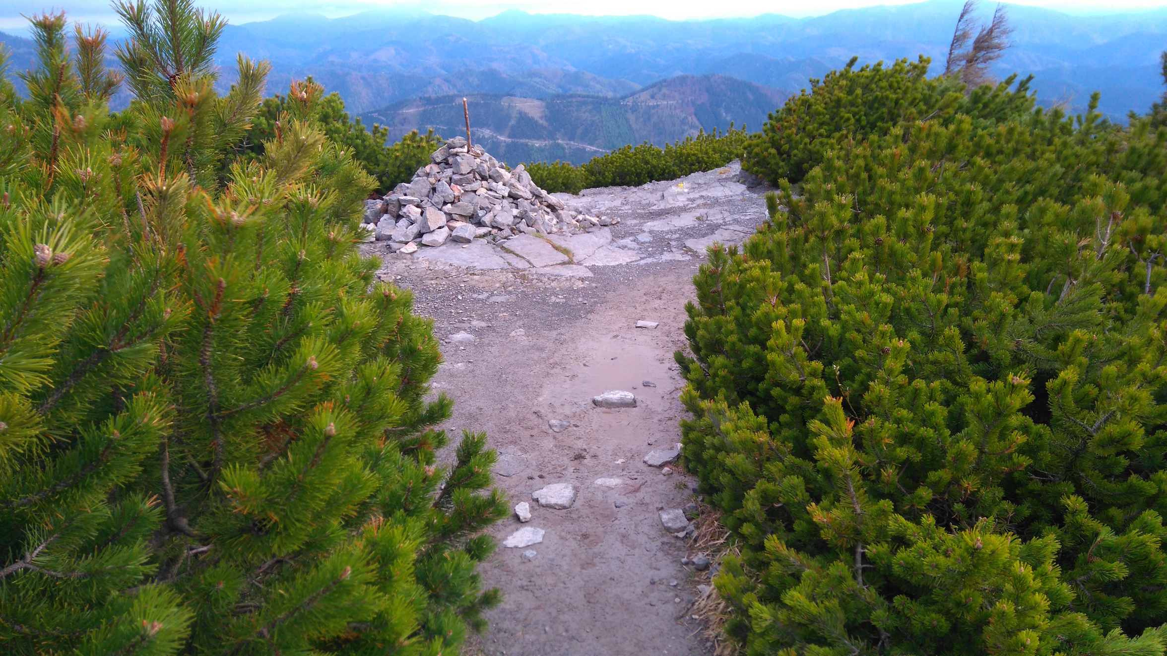 lehm auf 1550 m_schneeberg_8329.JPG